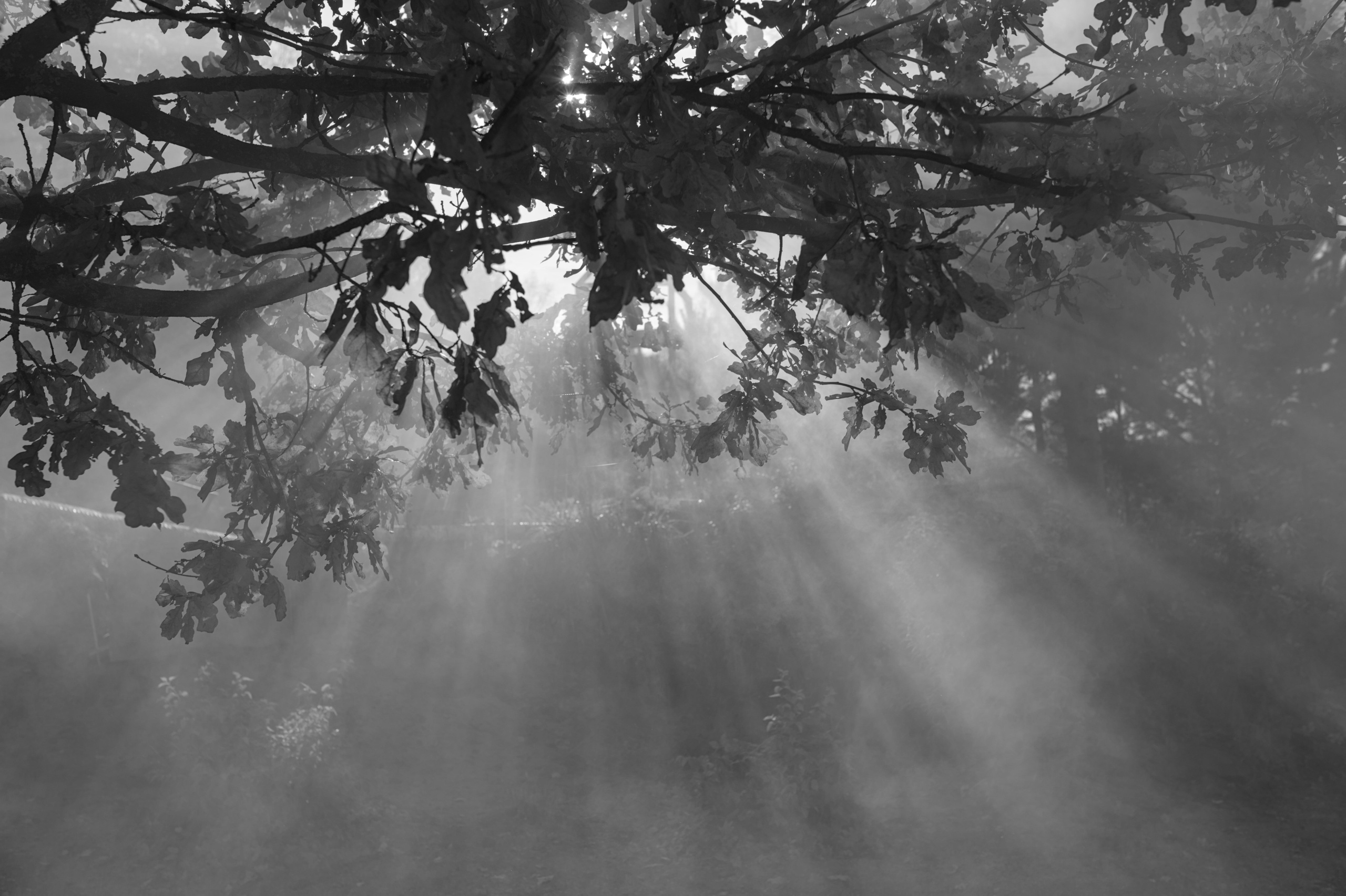 Природа. Фото детских спортивных мероприятий и всякое интересное через объектив