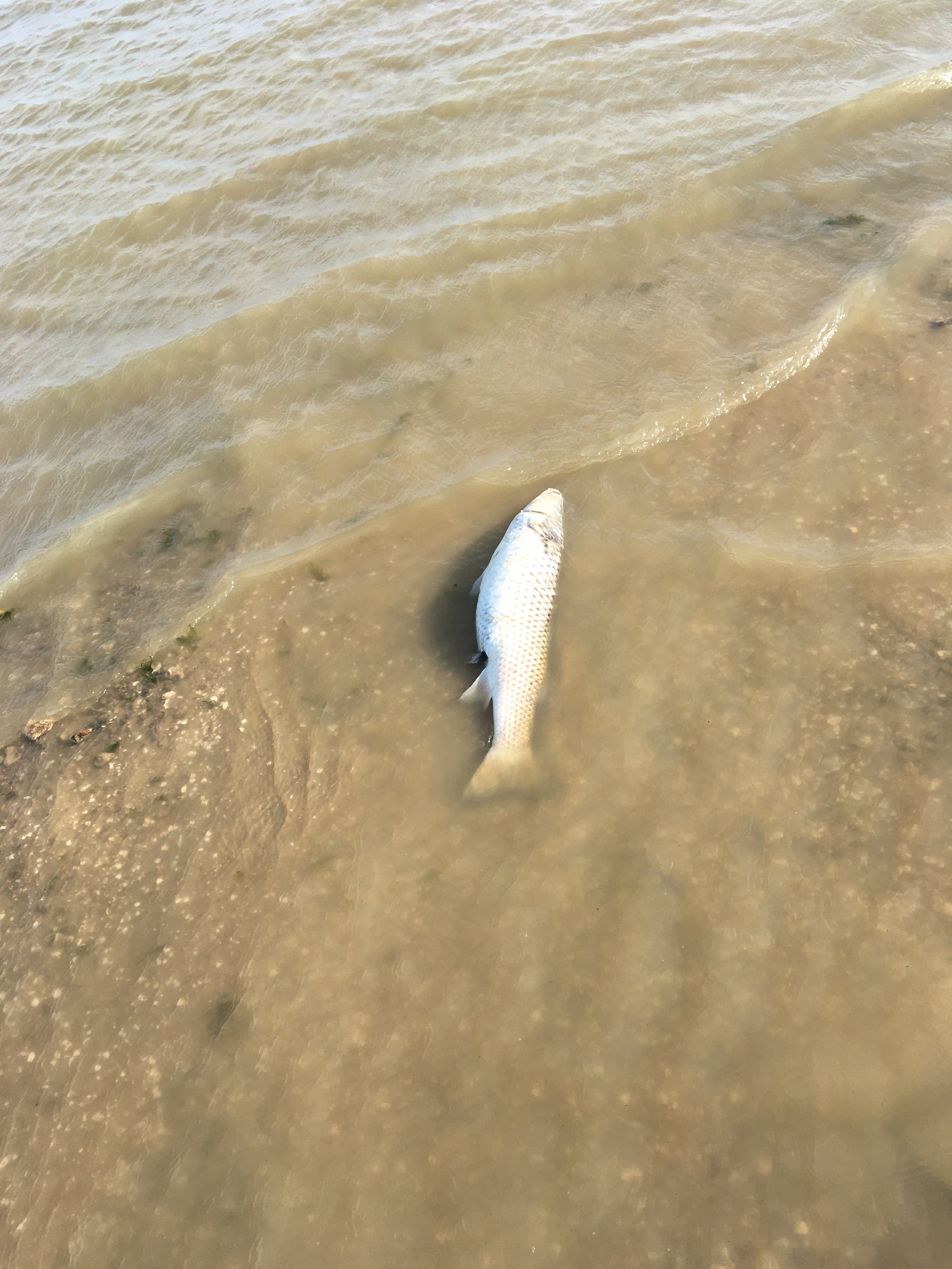 Азов -19. Своя Мастерская