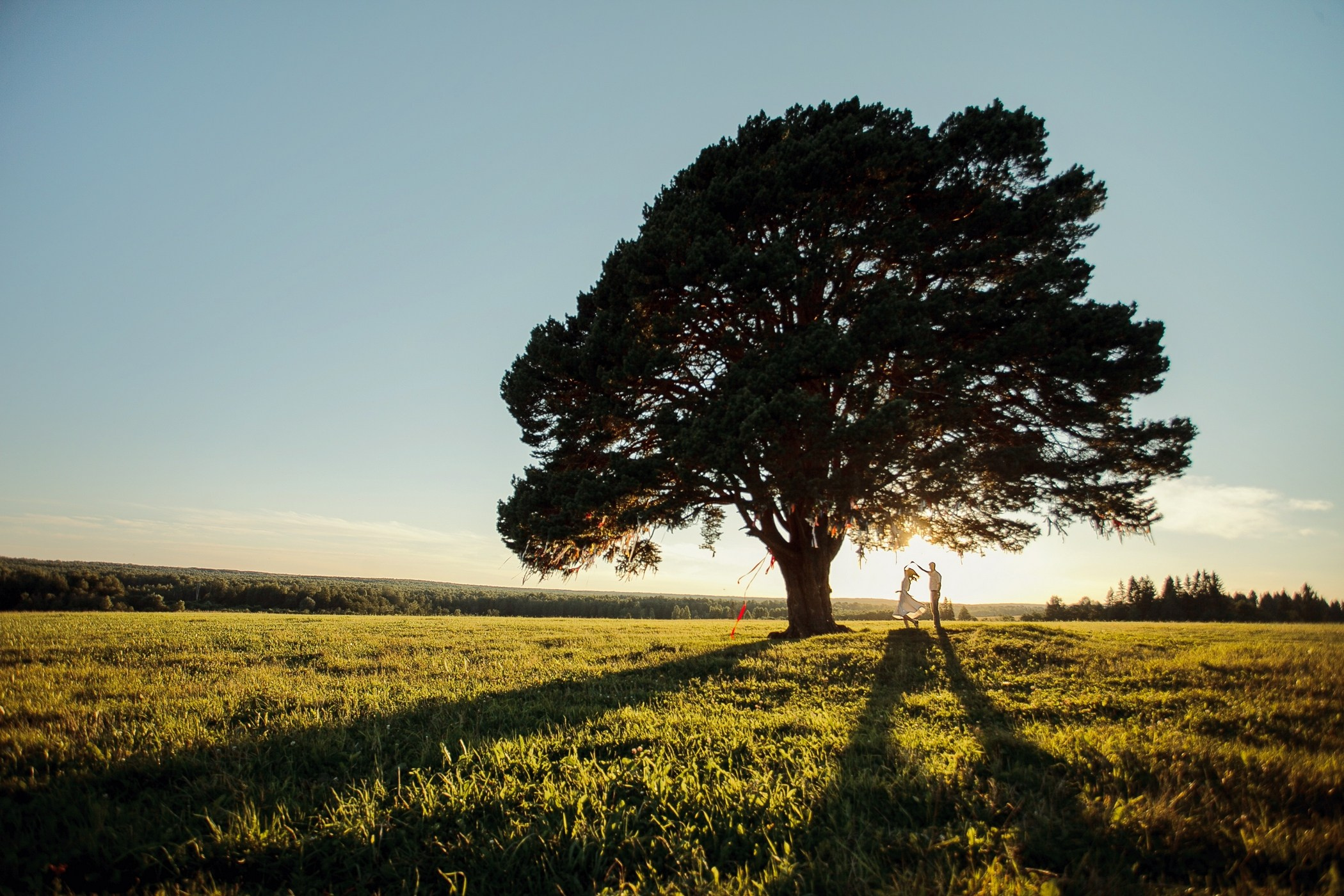 Свадебное портфолио. Свадебный фотограф в Ижевске Владимир Мещеряков