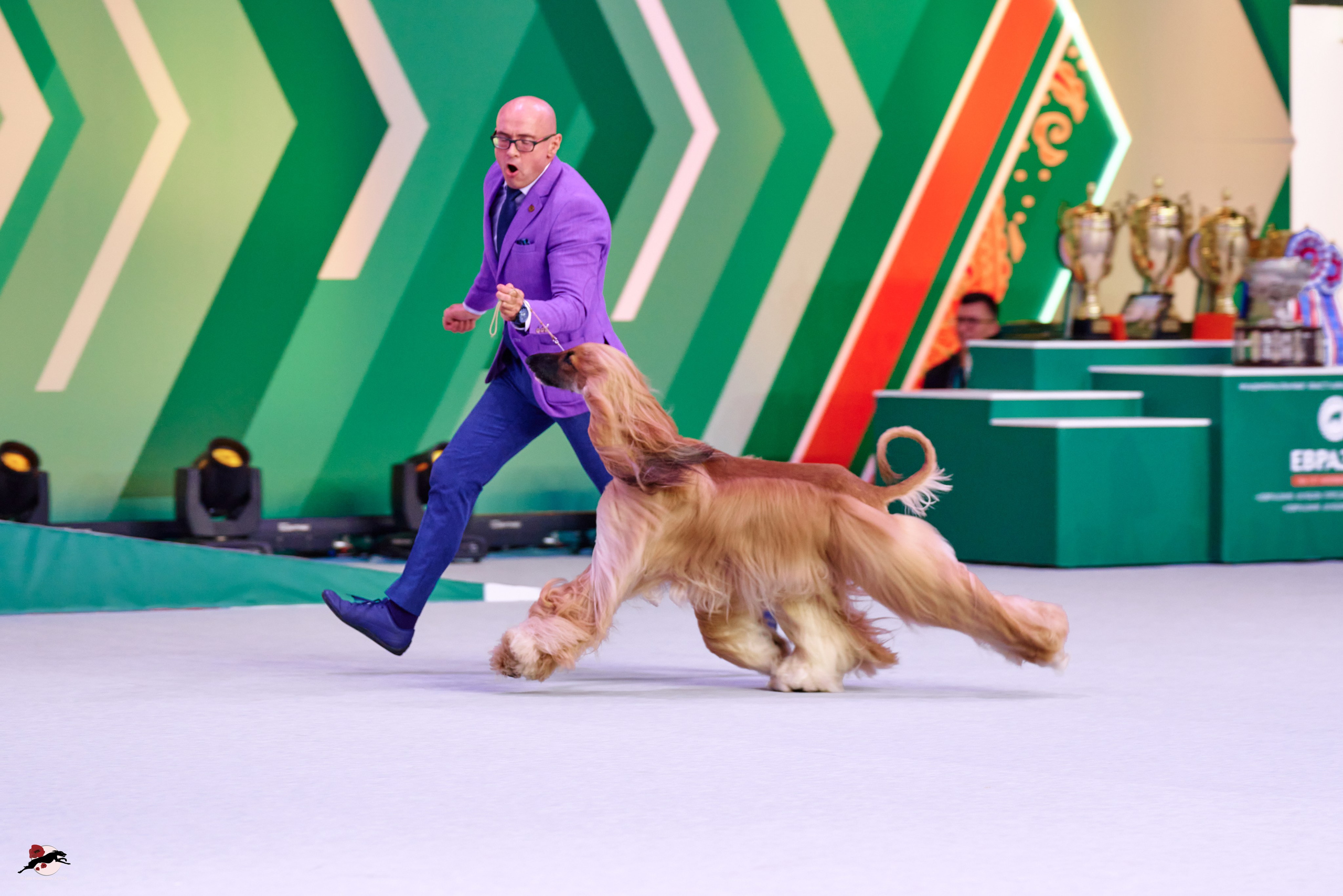 16.11.2024 «ЕВРАЗИЯ. КУБОК ПРЕЗИДЕНТА РКФ 2024»