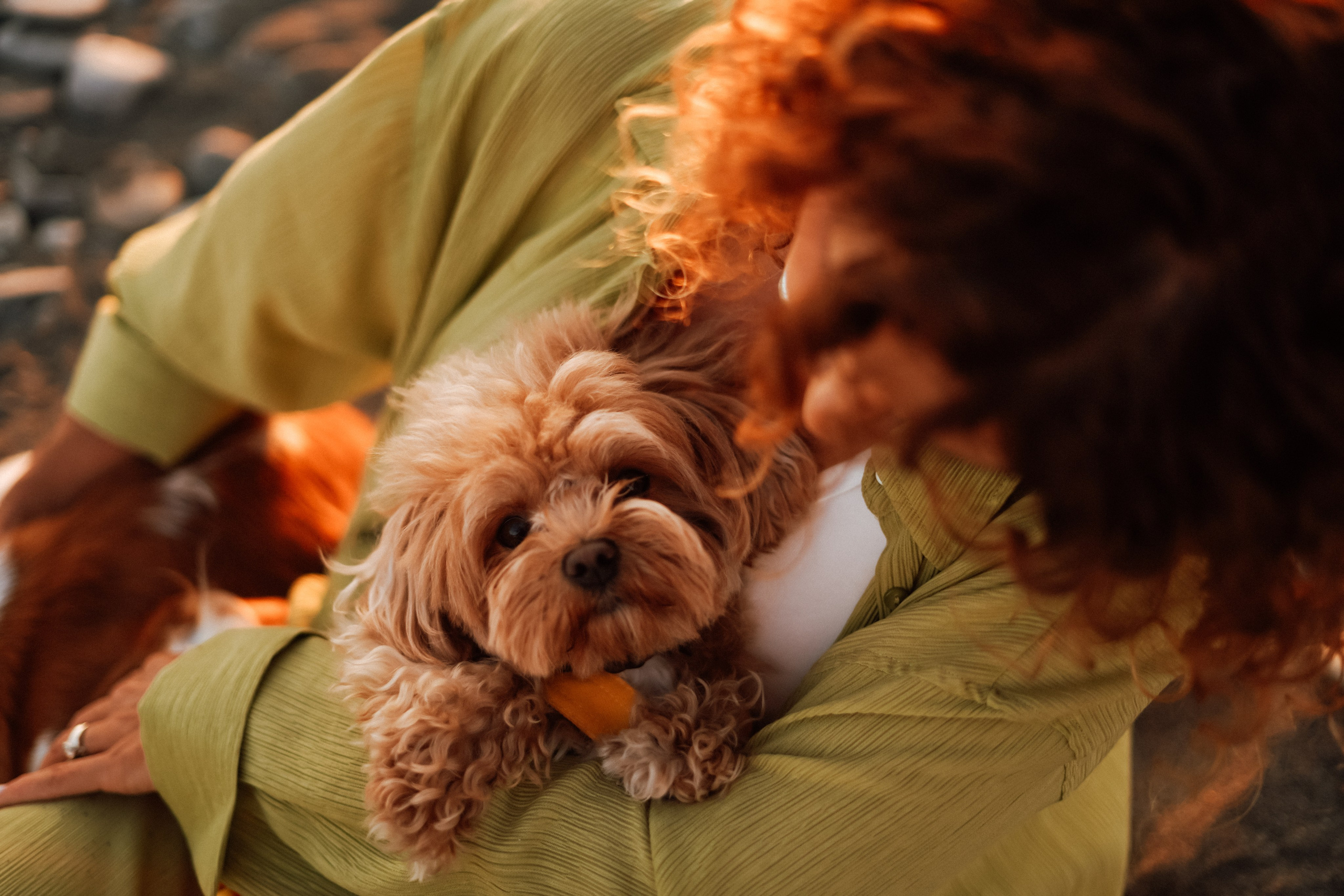 Света и девочки. Сочифорния. Фотограф в Сочи и Абхазии | Фототуры | September Air