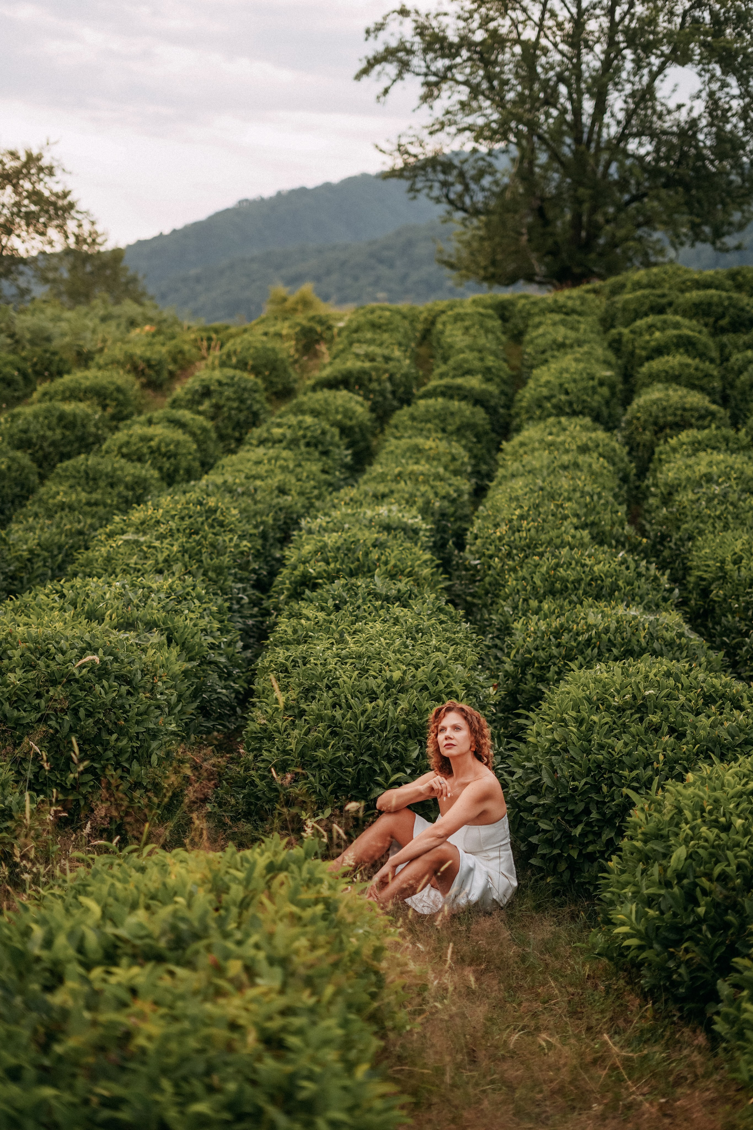 Светлана. Чайные плантации Хоста. Фотограф в Сочи и Абхазии | Фототуры | September Air