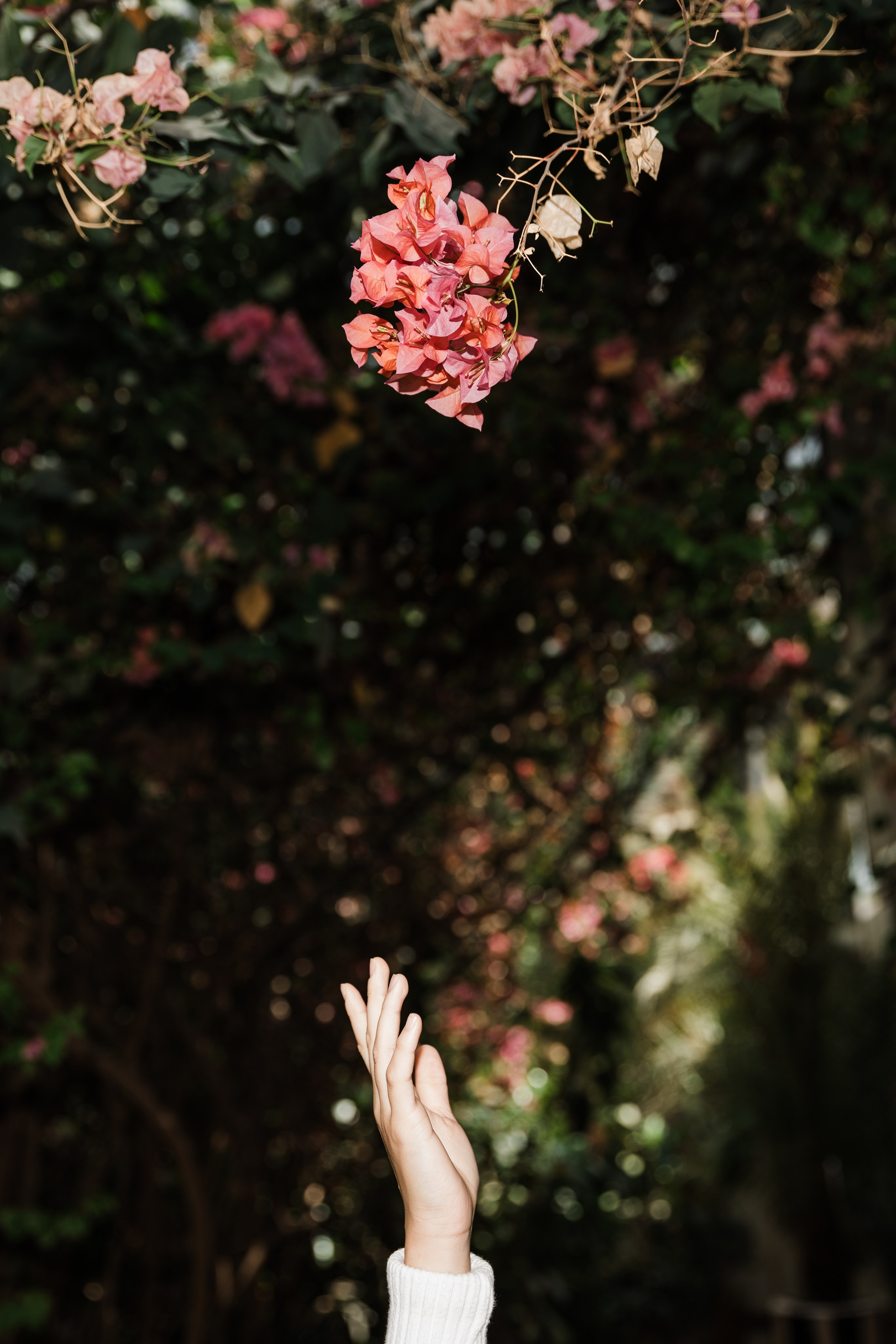 Фотограф в Астрахани Радмир Баймухамедов