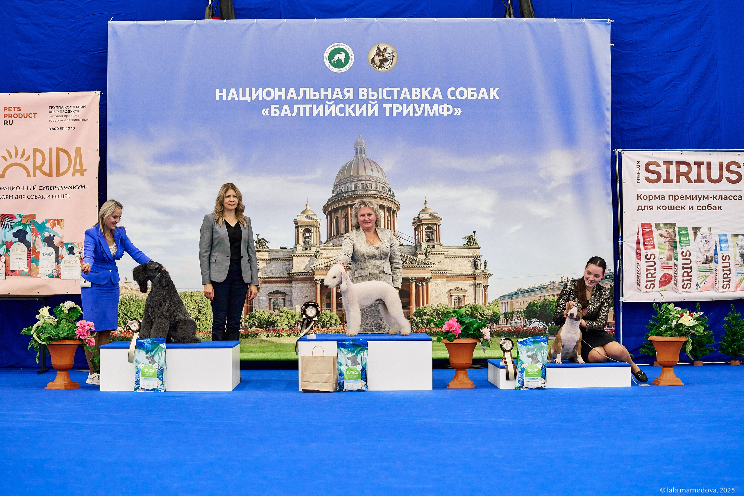 22-23 FEB 2025 | NATIONAL DOG SHOW «BALTIC TRIUMPH-2025»