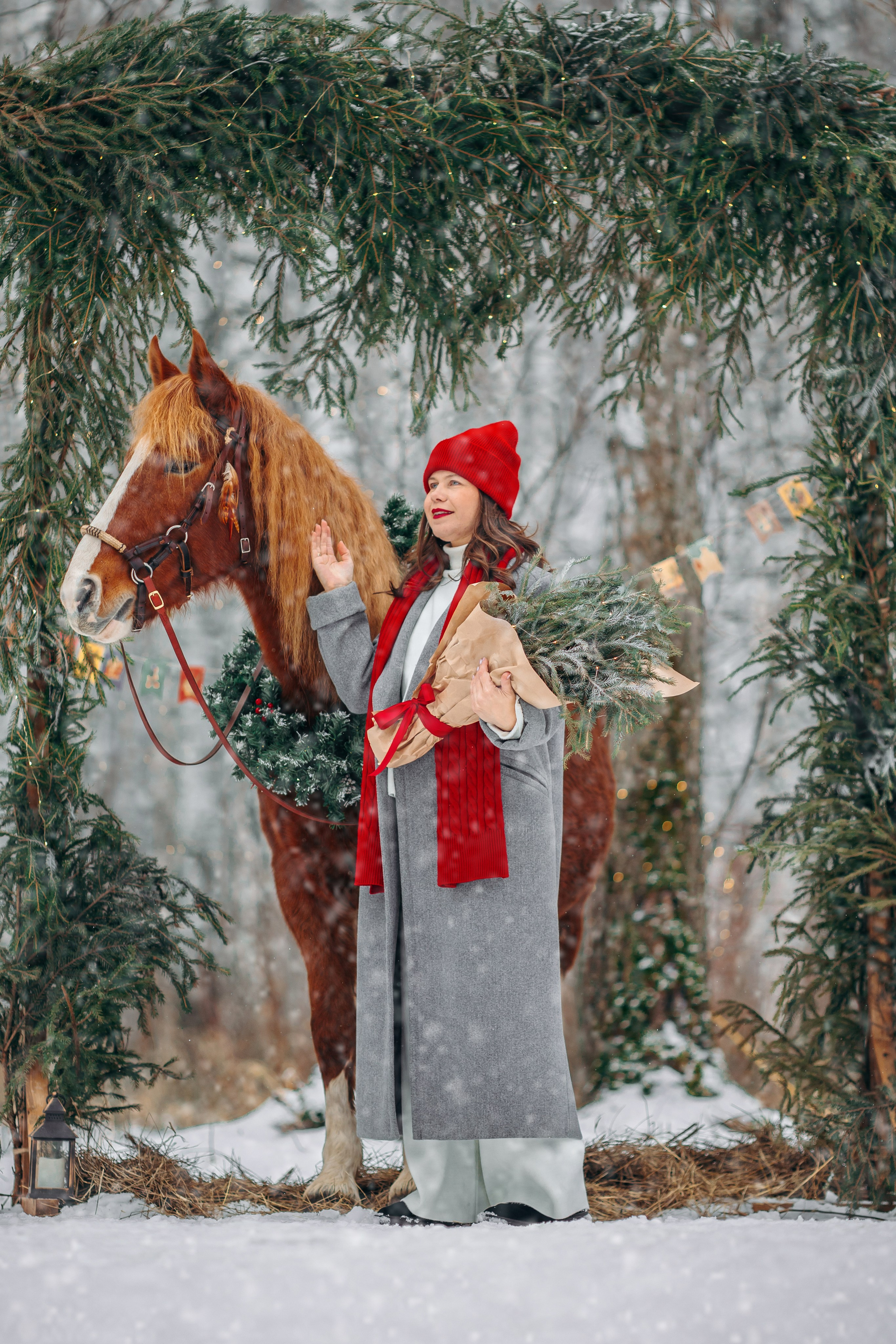 Тариф Новогодний 2025-2026. Анна Молчанова конный фотограф в Тюмени | фотосессии с лошадьми Тюмень