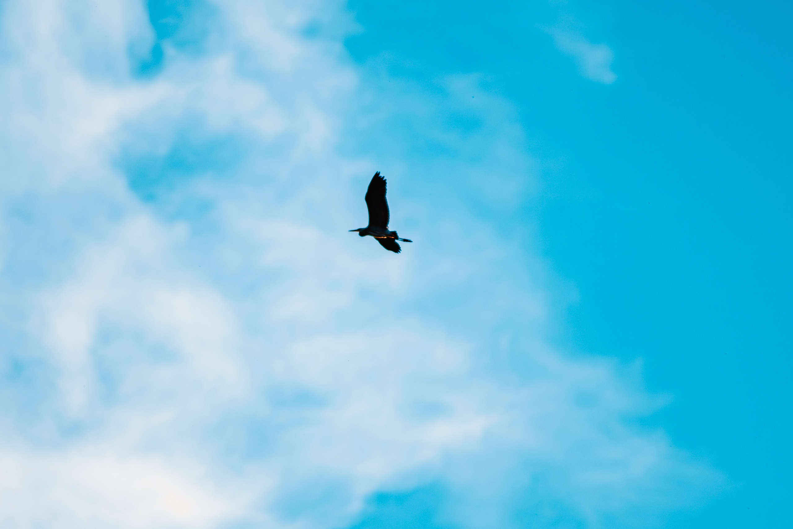 Лето. Фотограф в Ветлуге Сергей Белов (VETLUGA B.S.)