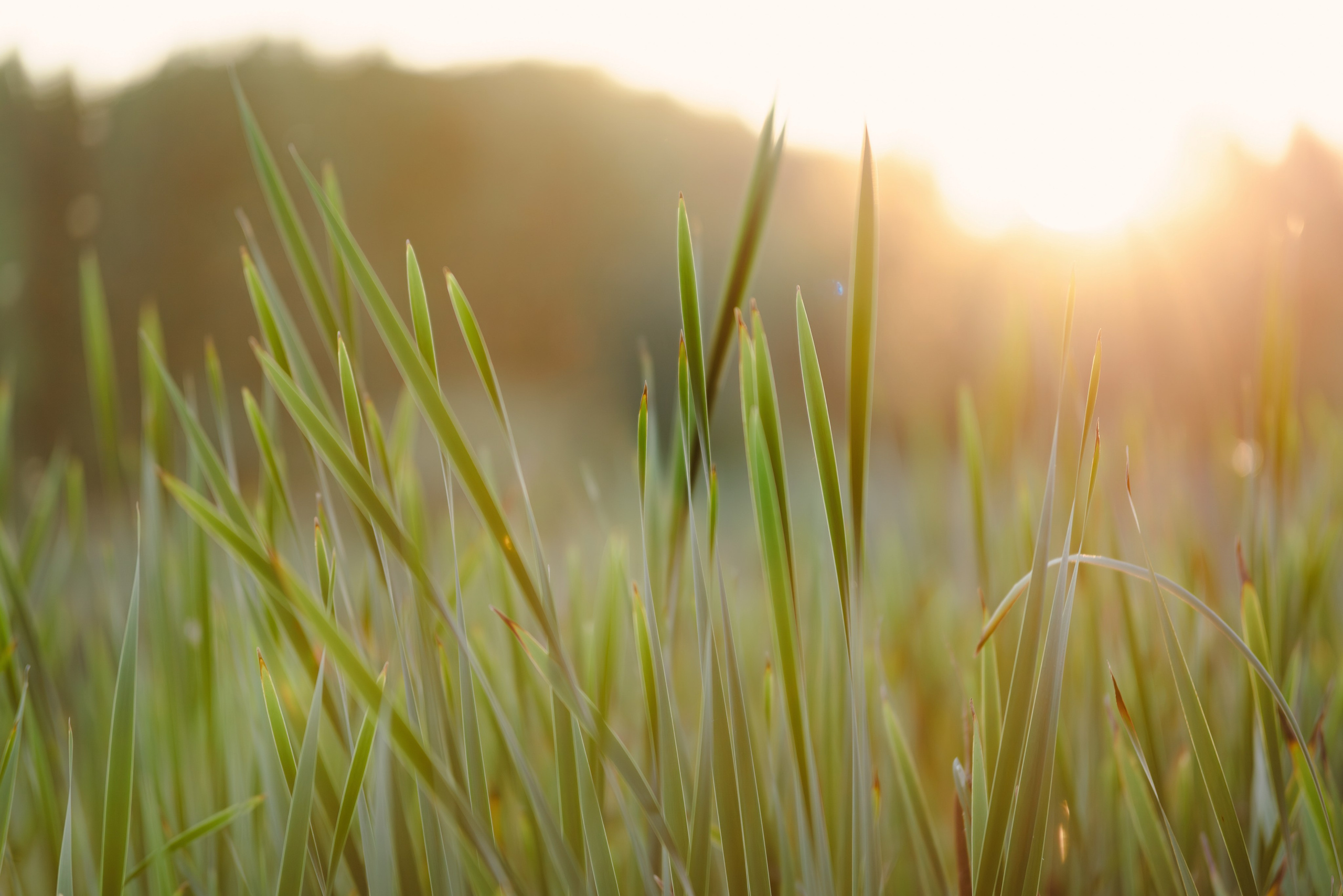 Лето. Фотограф в Ветлуге Сергей Белов (VETLUGA B.S.)