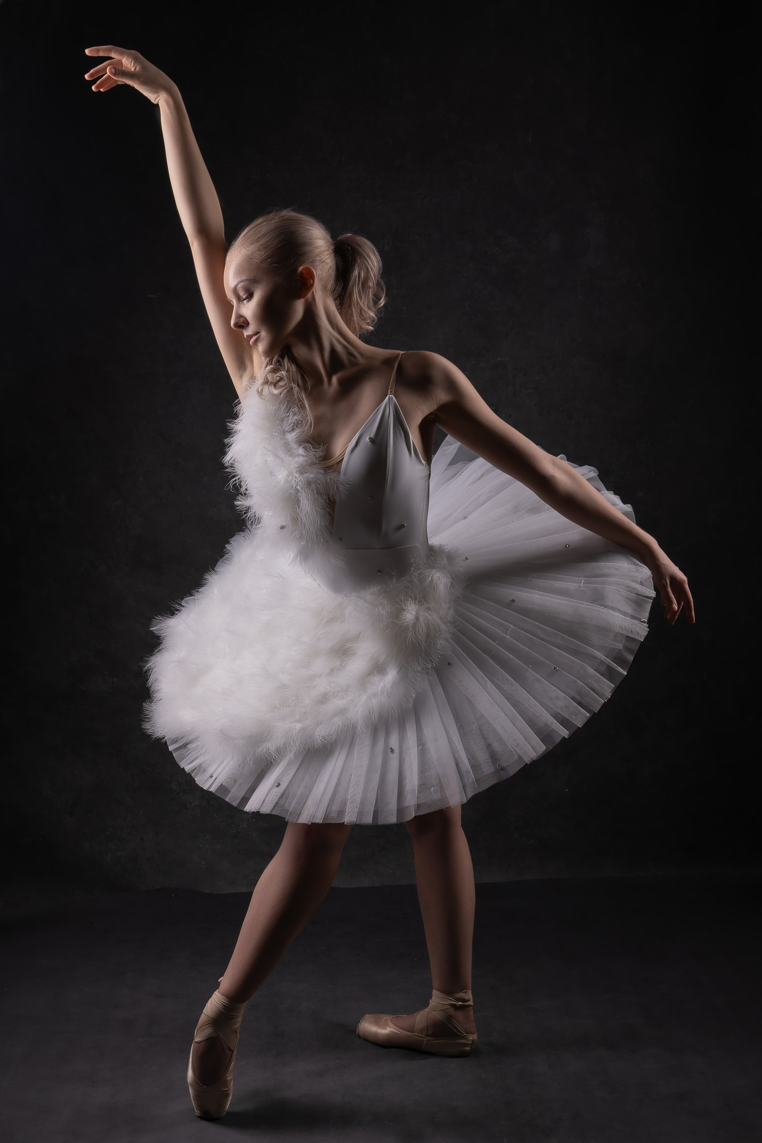 Екатерина, балет. Фотограф в Хабаровске Екатерина Масальская