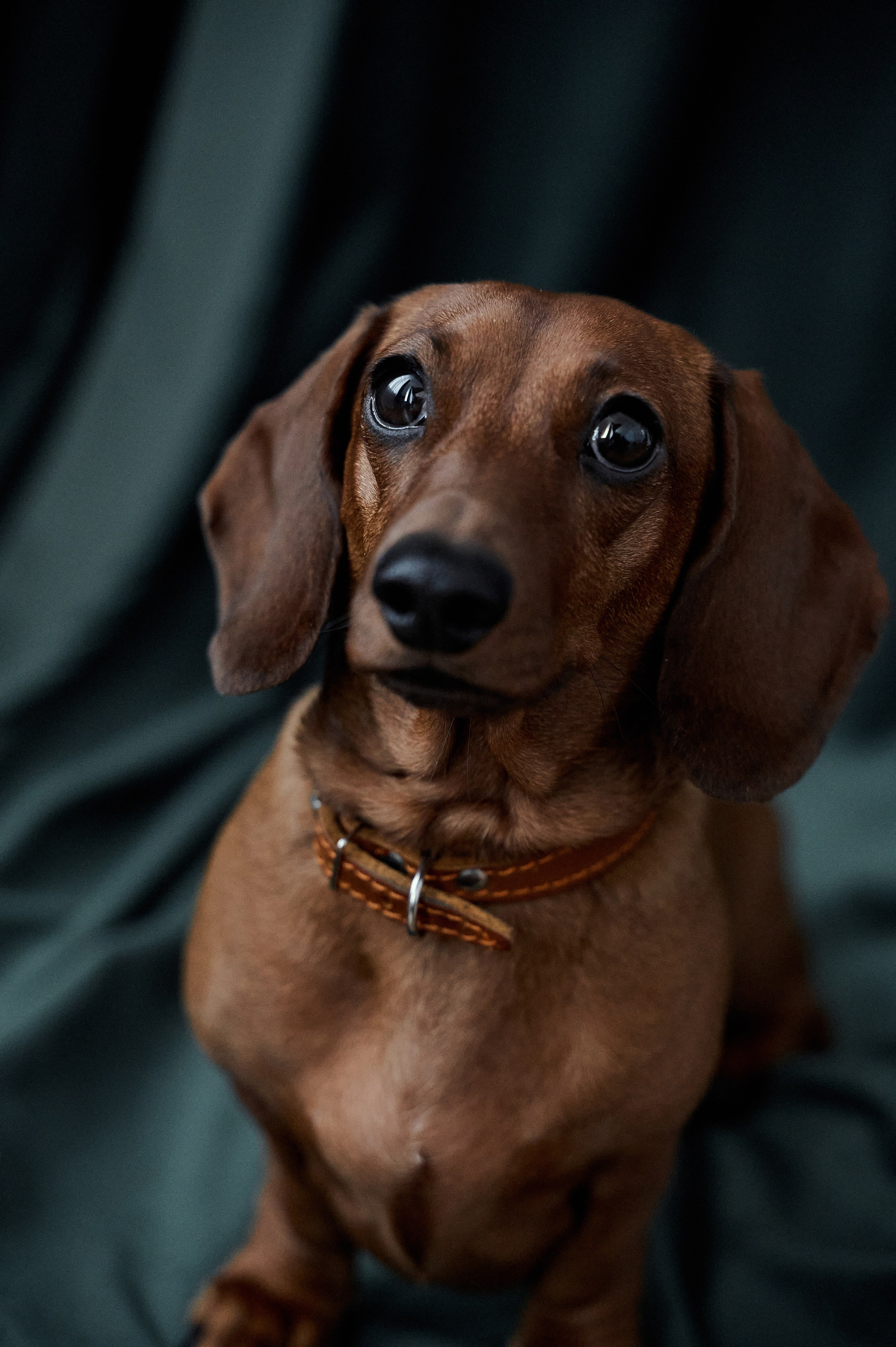 Саша. Свадебный и портретный фотограф в Брянске Скепская Лилия