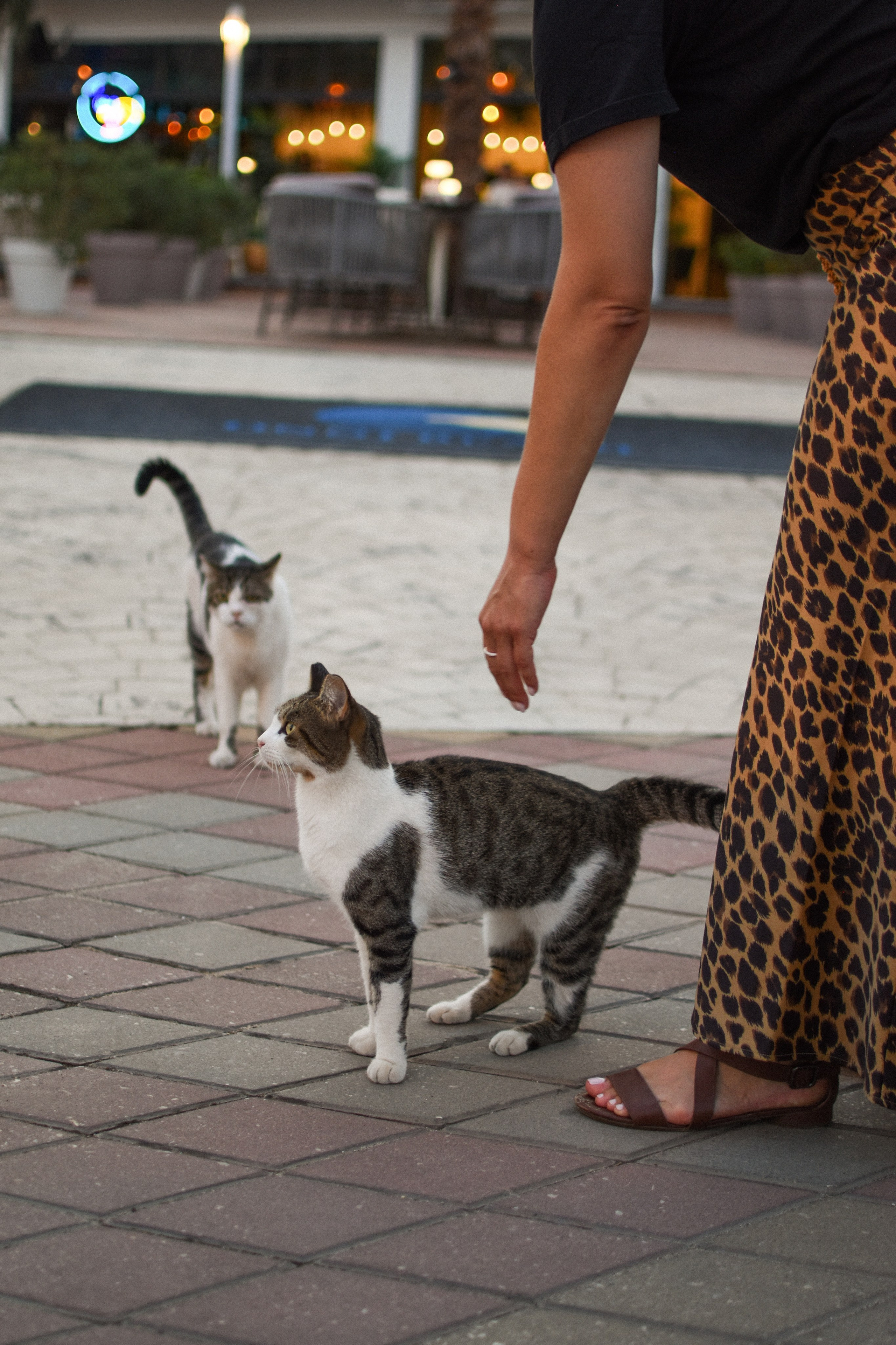 Индивидуальные фотосессии в Москве. Фотограф Лобанов Антон, г. Москва