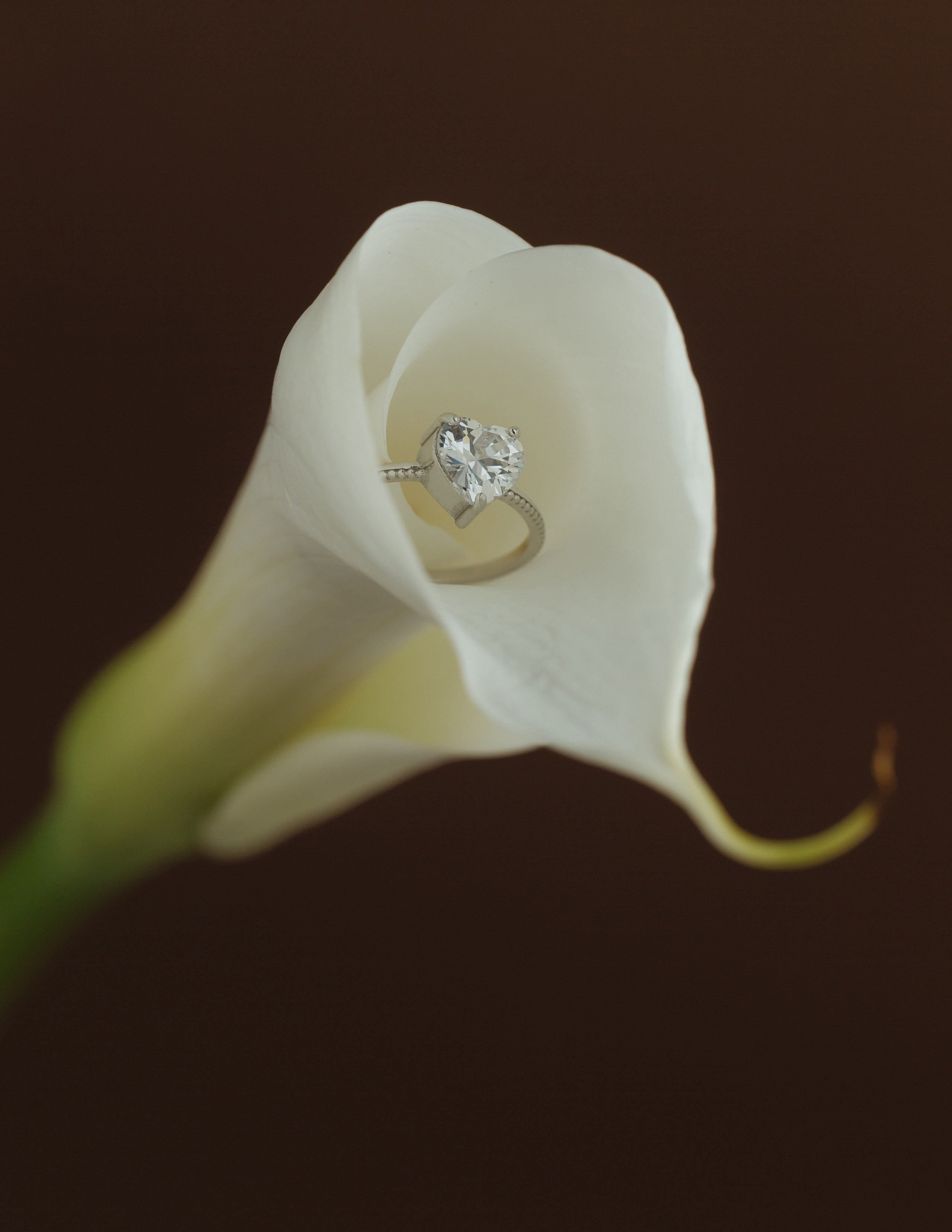 Фотосъемка для брендов в Санкт-Петербурге. Fashion фотограф в Санкт-Петербурге Юлия Леонович