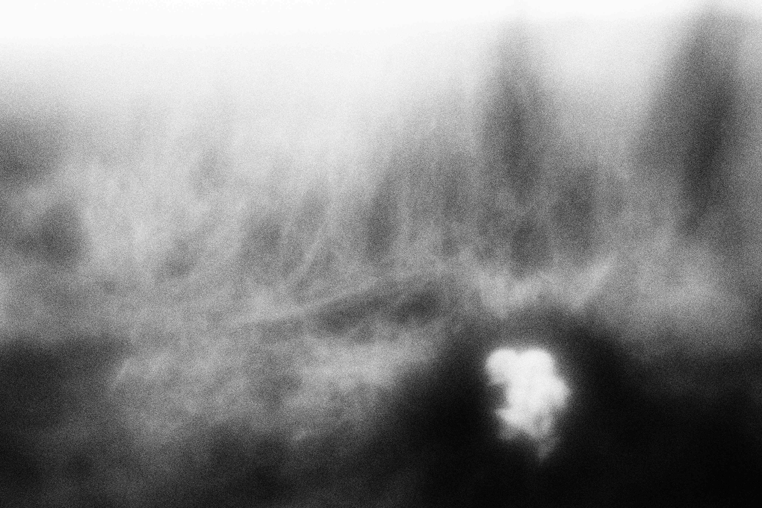 «Видеть. Чувствовать. Сохранять»