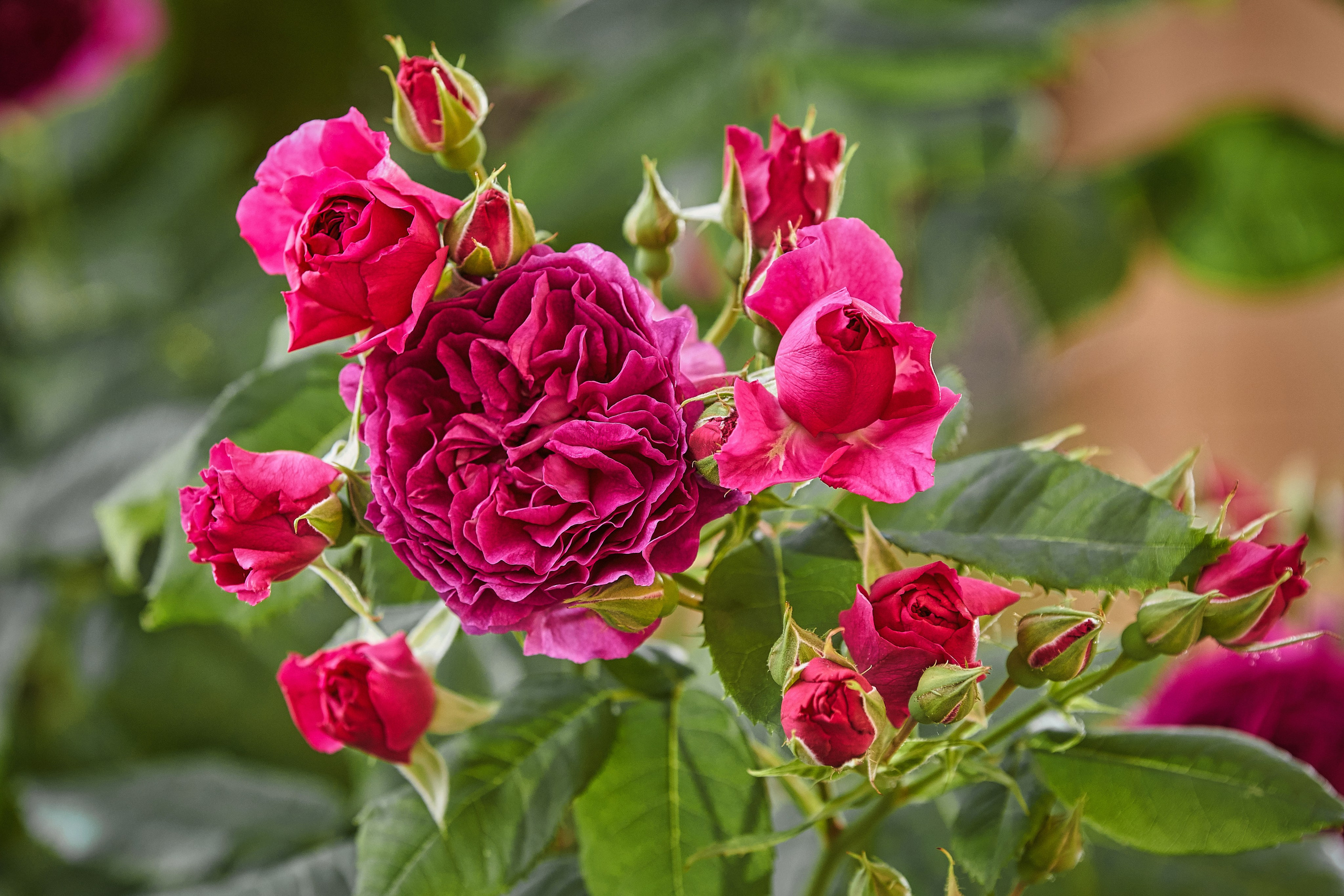 Наша мать — природа. Фотограф Владимир Артамонов