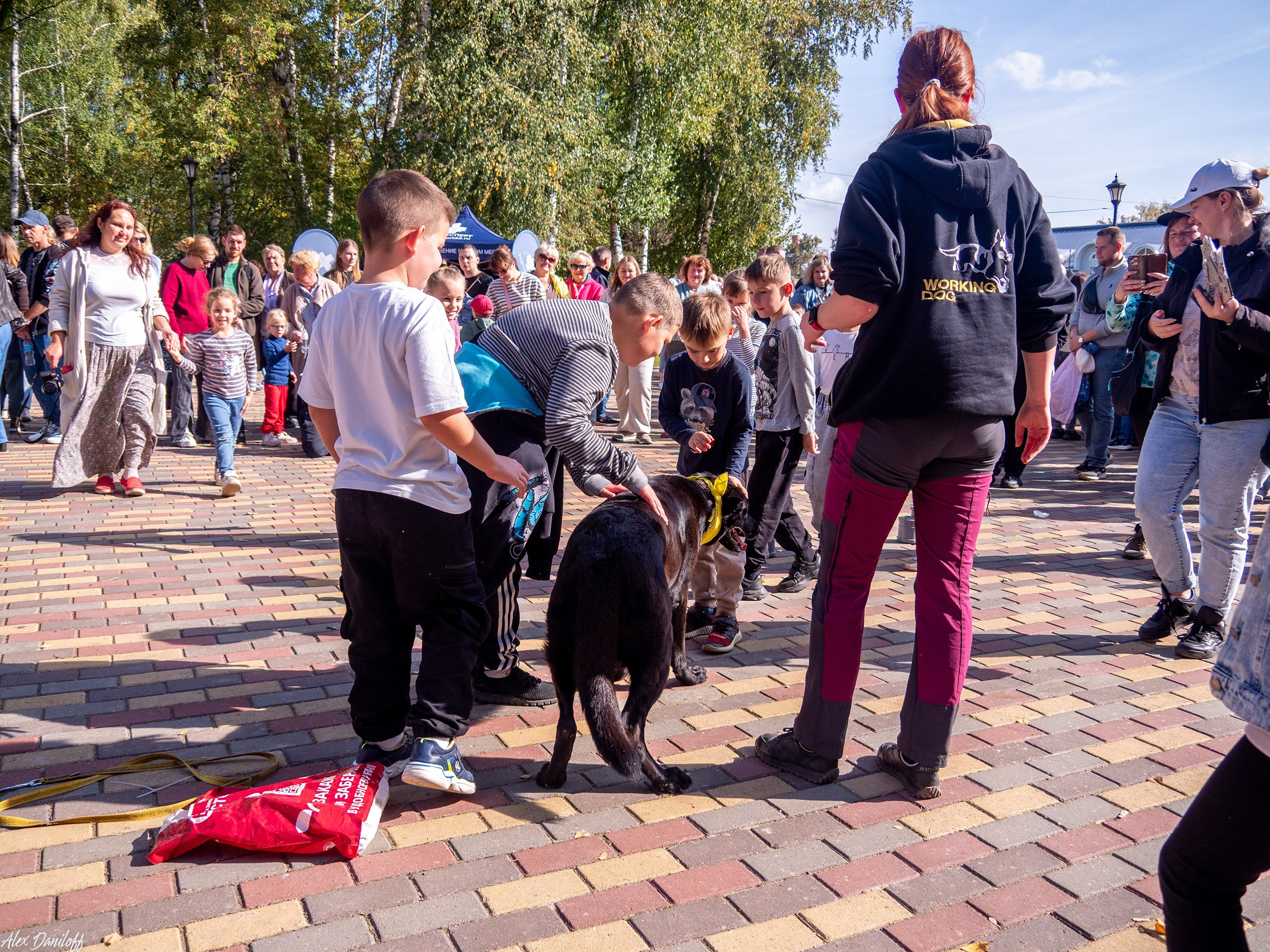 Обнимака 2025. Муром-Инфо. Новости культуры, образования, спорта в городе Муром