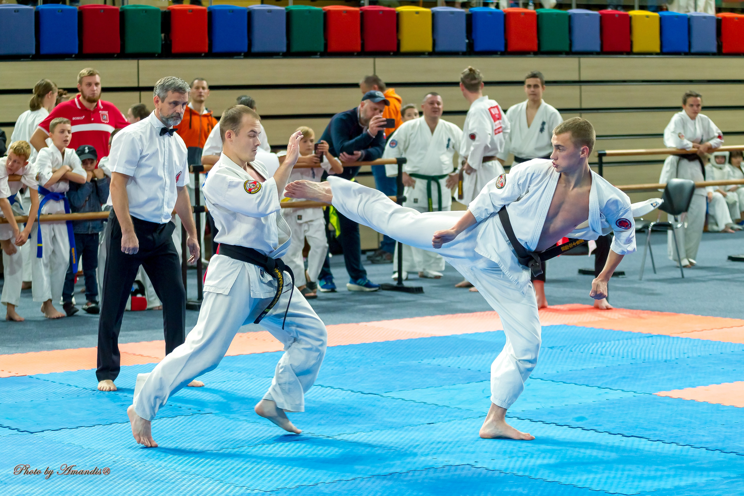 Первенство Московской области по Киокушин в СК «Жаворонки». Репортажная съемка в Москве и области. Анималистика