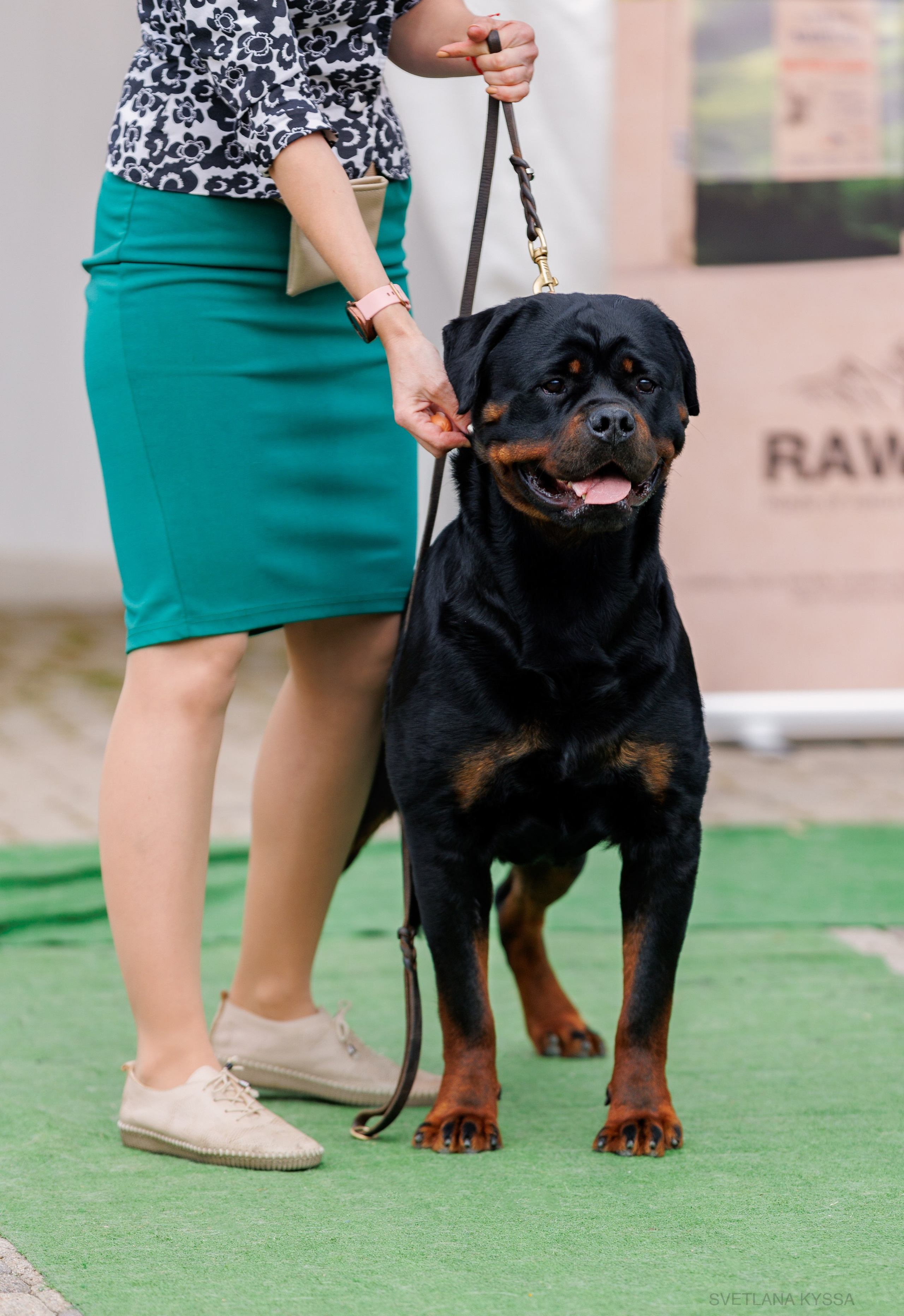 Фото с выставки собак. Фотограф — анималист Светлана Кысса|фотограф собак в Краснодаре и Нижнем Новгороде