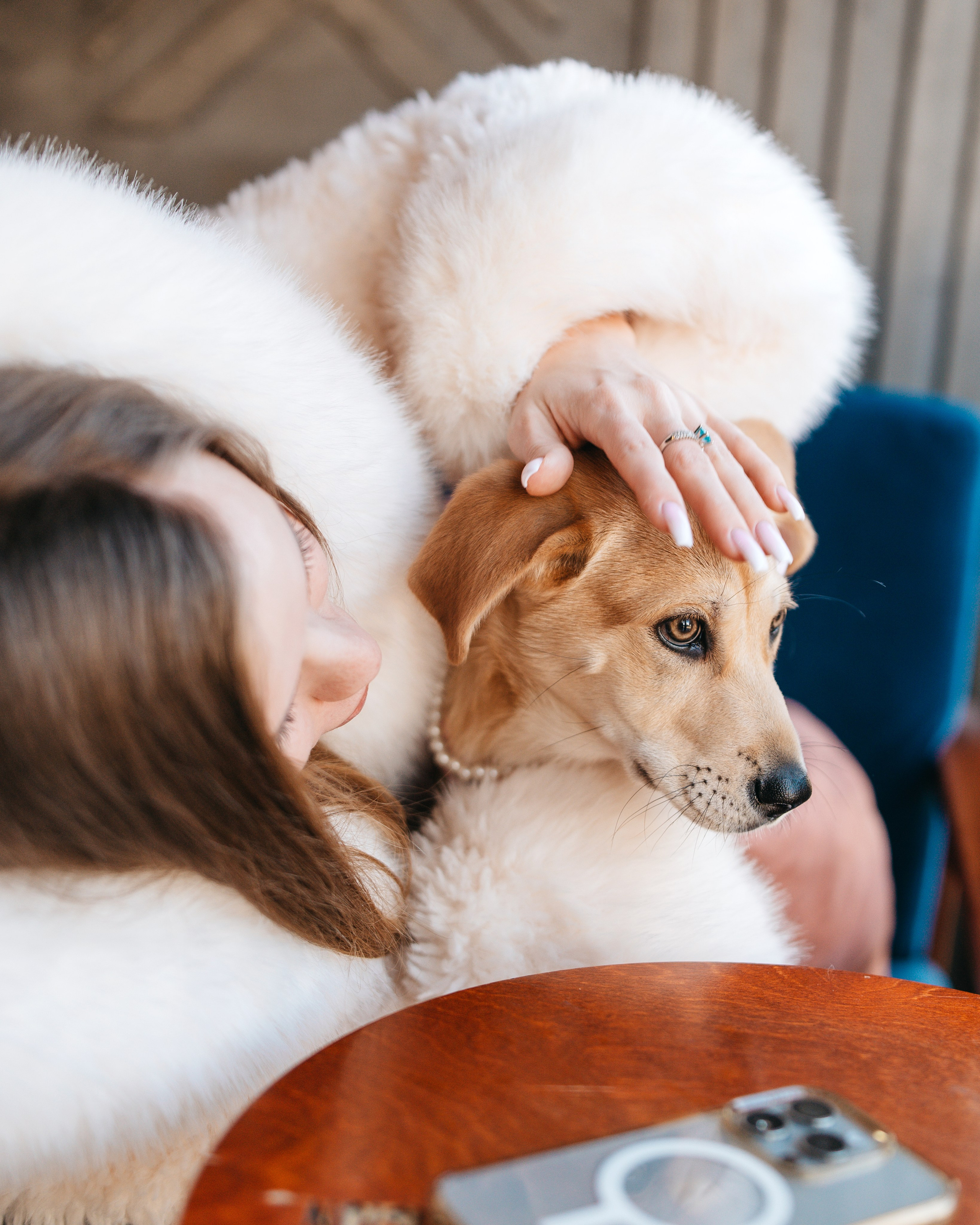 Животные. Фотограф Сочи-Краснодар