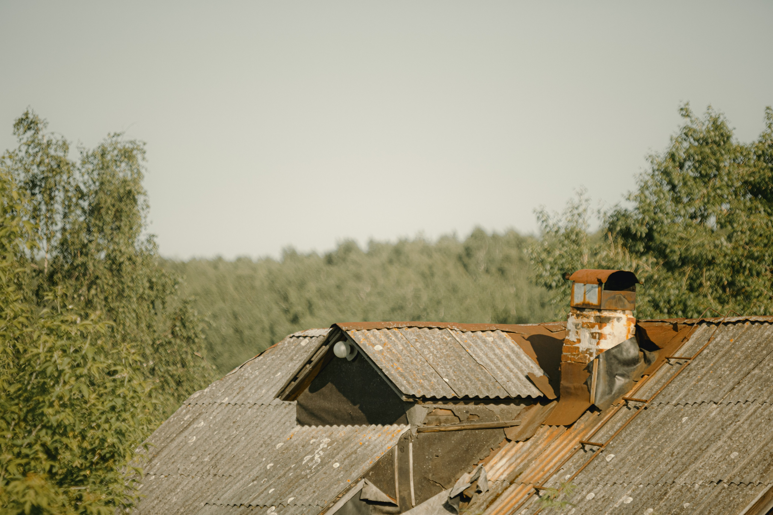 IX Фестиваль Чайной культуры в Тобольске 2025. Арт-фотограф Крис Л. в Тобольске: портрет, семейные, свадьбы