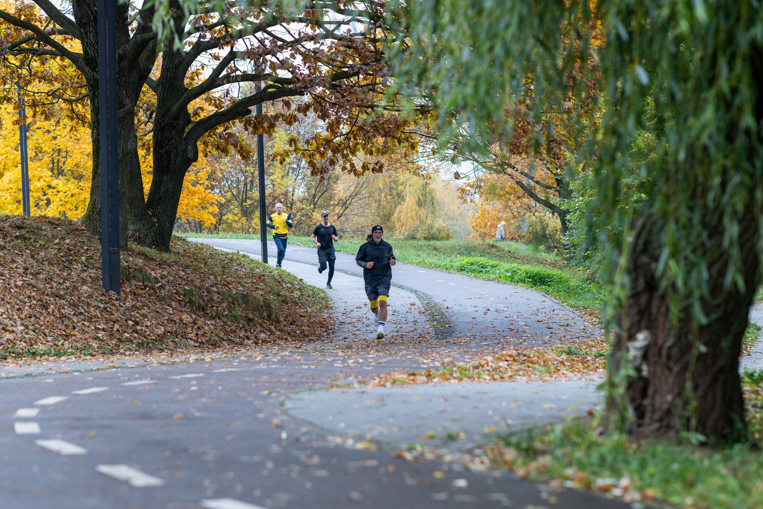 5 вёрст в Митино, 11.10.25. Фотограф Сергей Ловкий