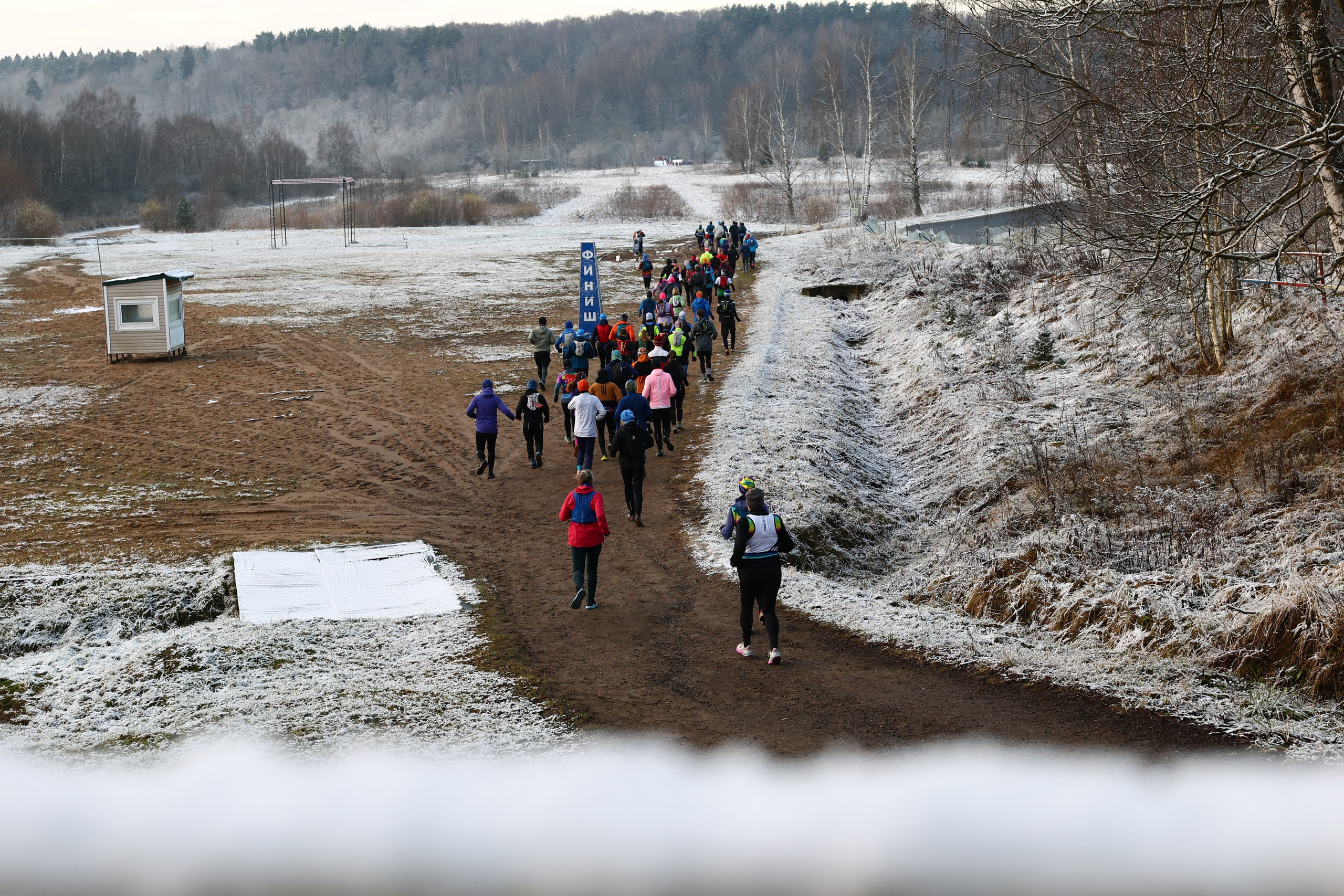 Два лепестка Химкинского марафона у дома, 23.11.25. Фотограф Сергей Ловкий