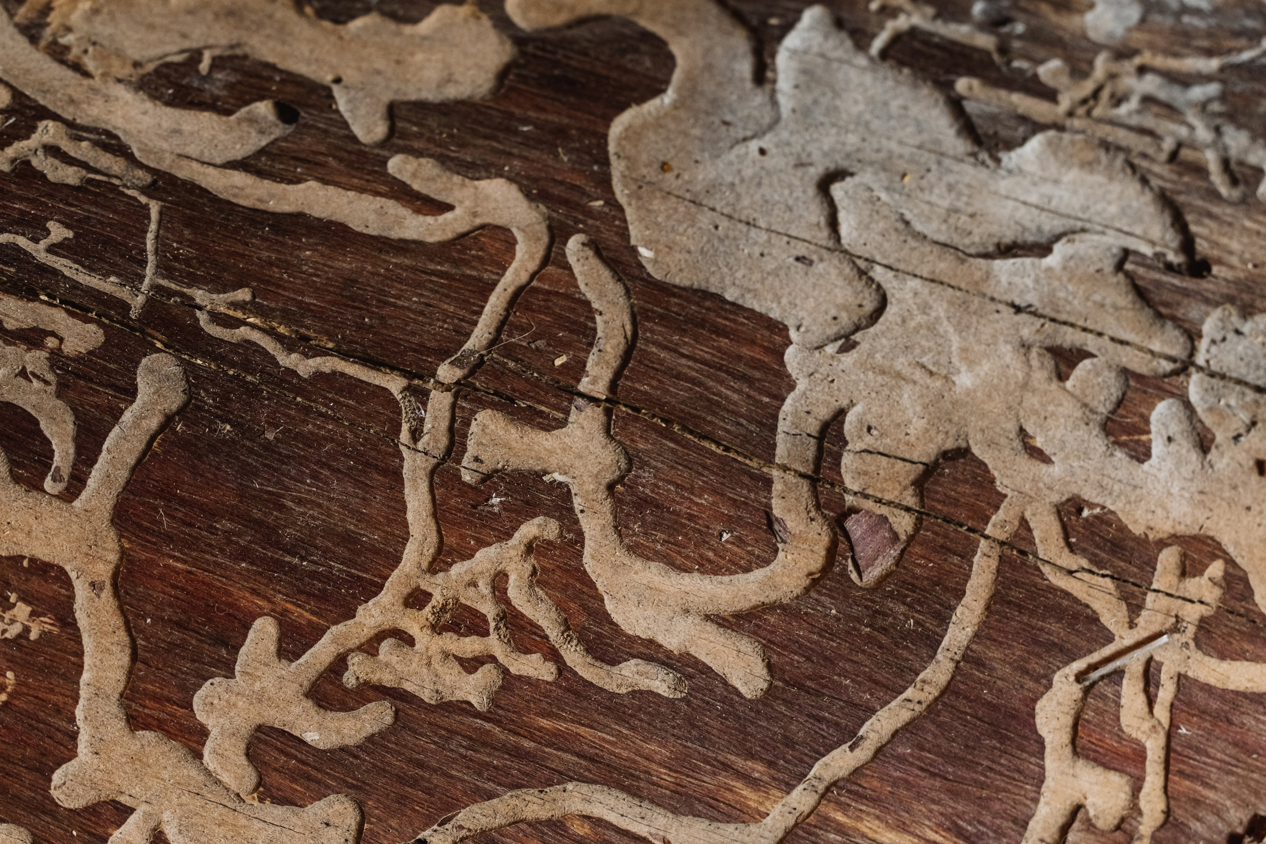 KUKSA|ТО, ЧТО ТЕБЯ СОГРЕВАЕТ|Кело-баня на дровах, г. Коломна. ФОТОГРАФ ИРИНА ШАМАТАВА