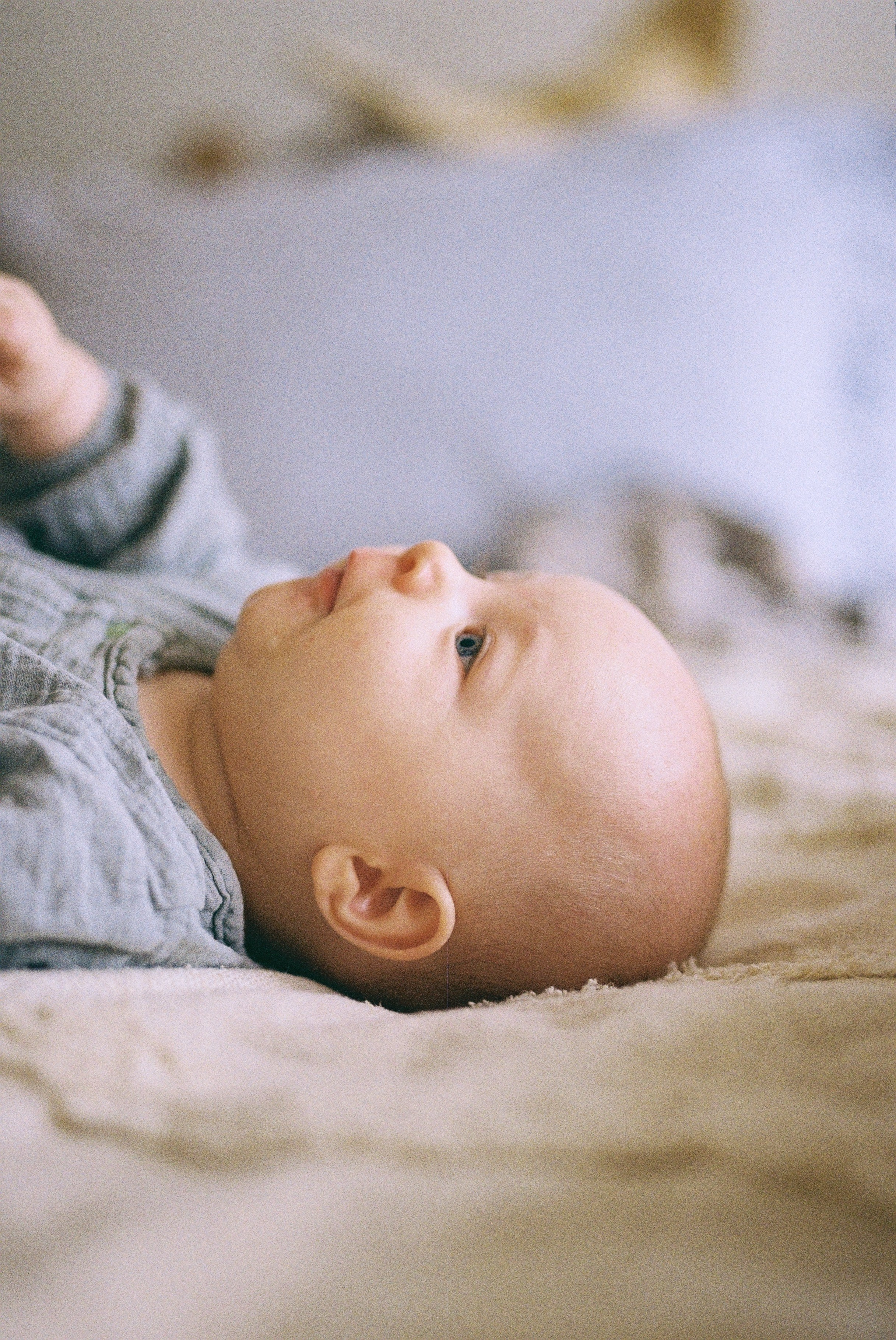 Илья + Ира + Степа. Семейный и детский фотограф Юлия Шох