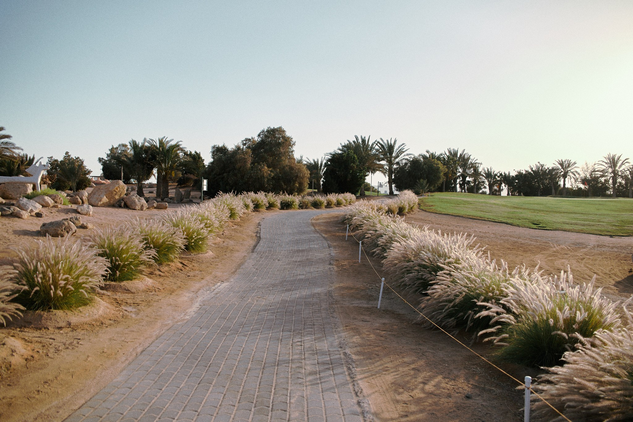 Улица горизонтальная. Jorgis — фотограф в Хургаде / обучение фотографии