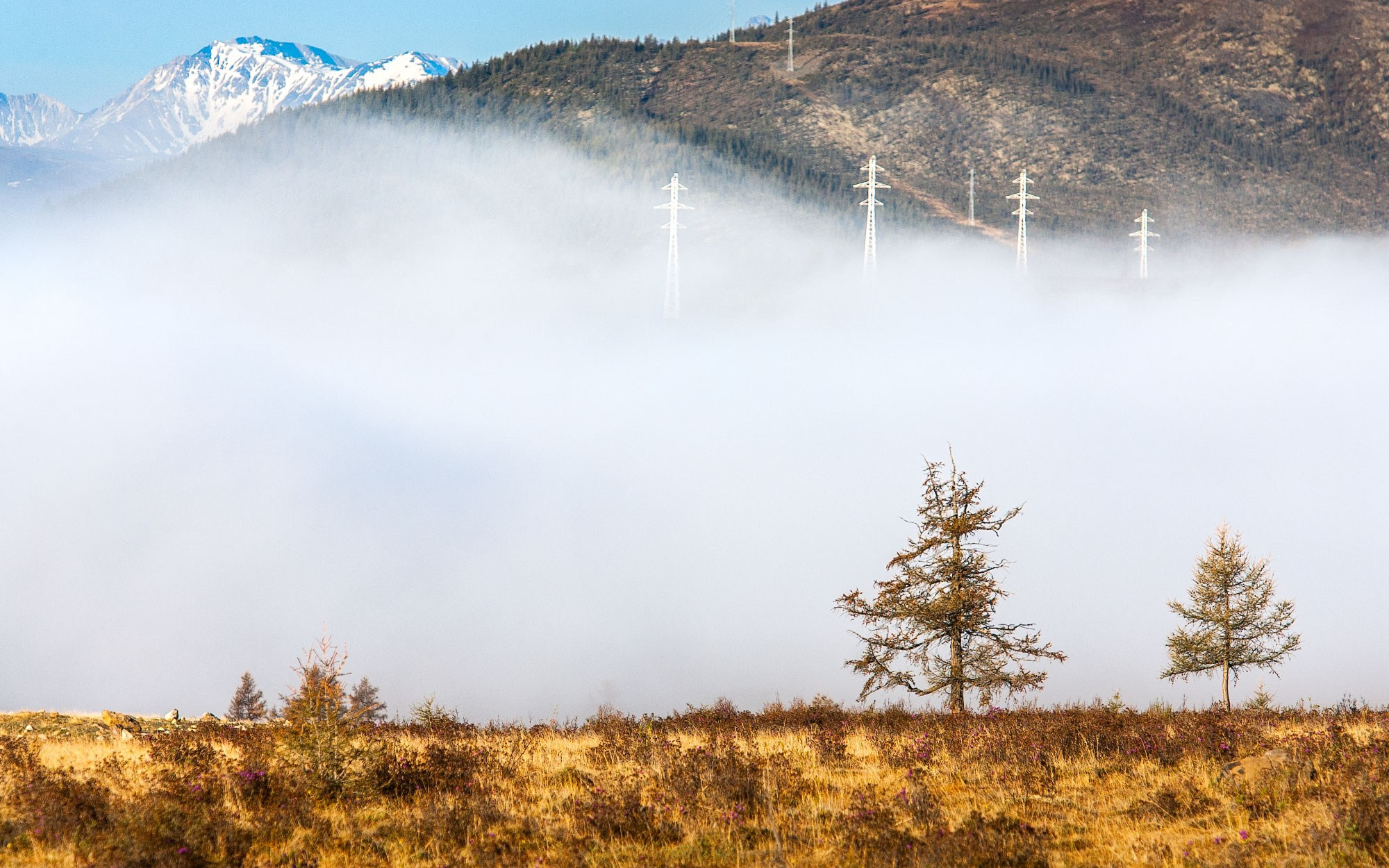 Свадебный фотограф в Геленджике
