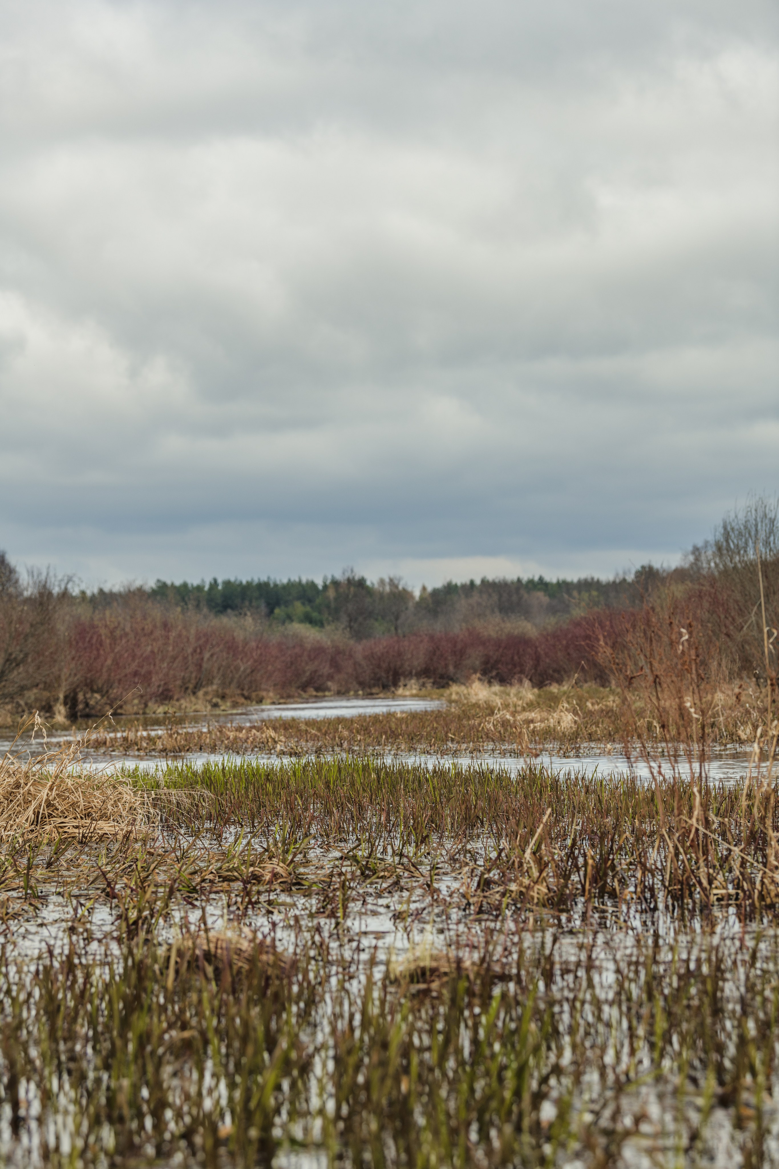 Разведка нового маршрута. Репортажный фотограф Владимир Беляй