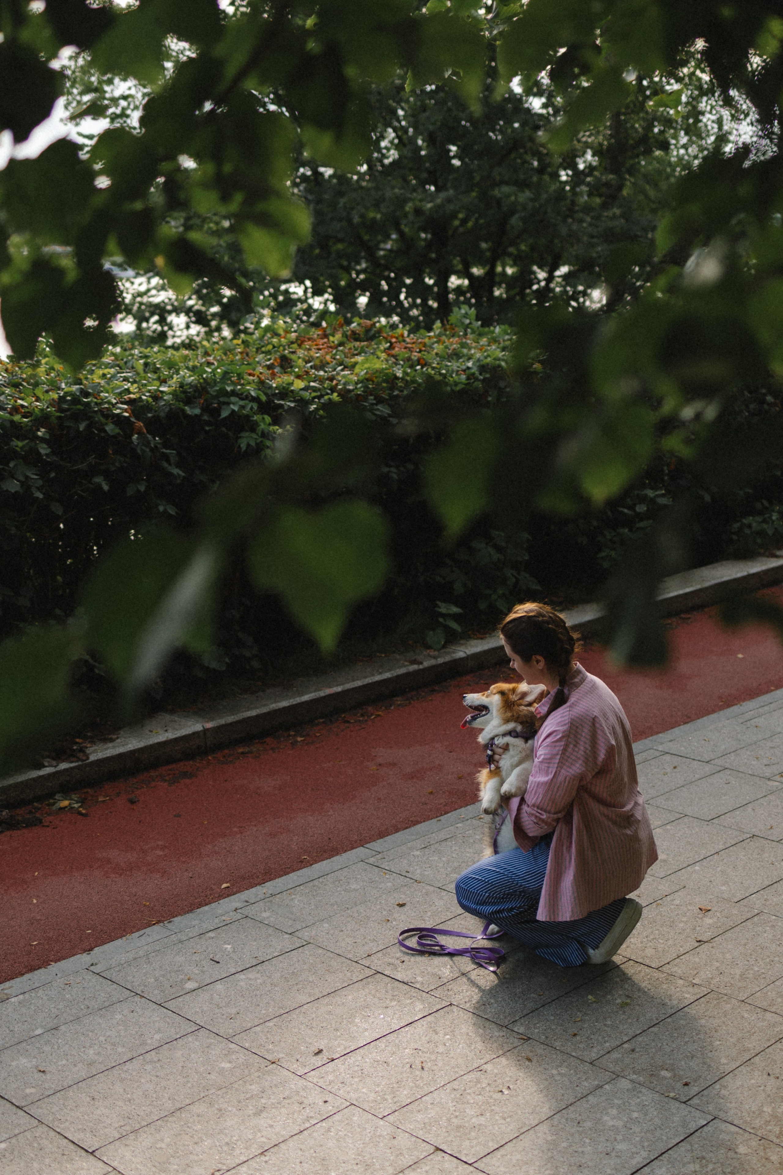 Мишель и Влада. Фотораф — анималист Мария Шистка