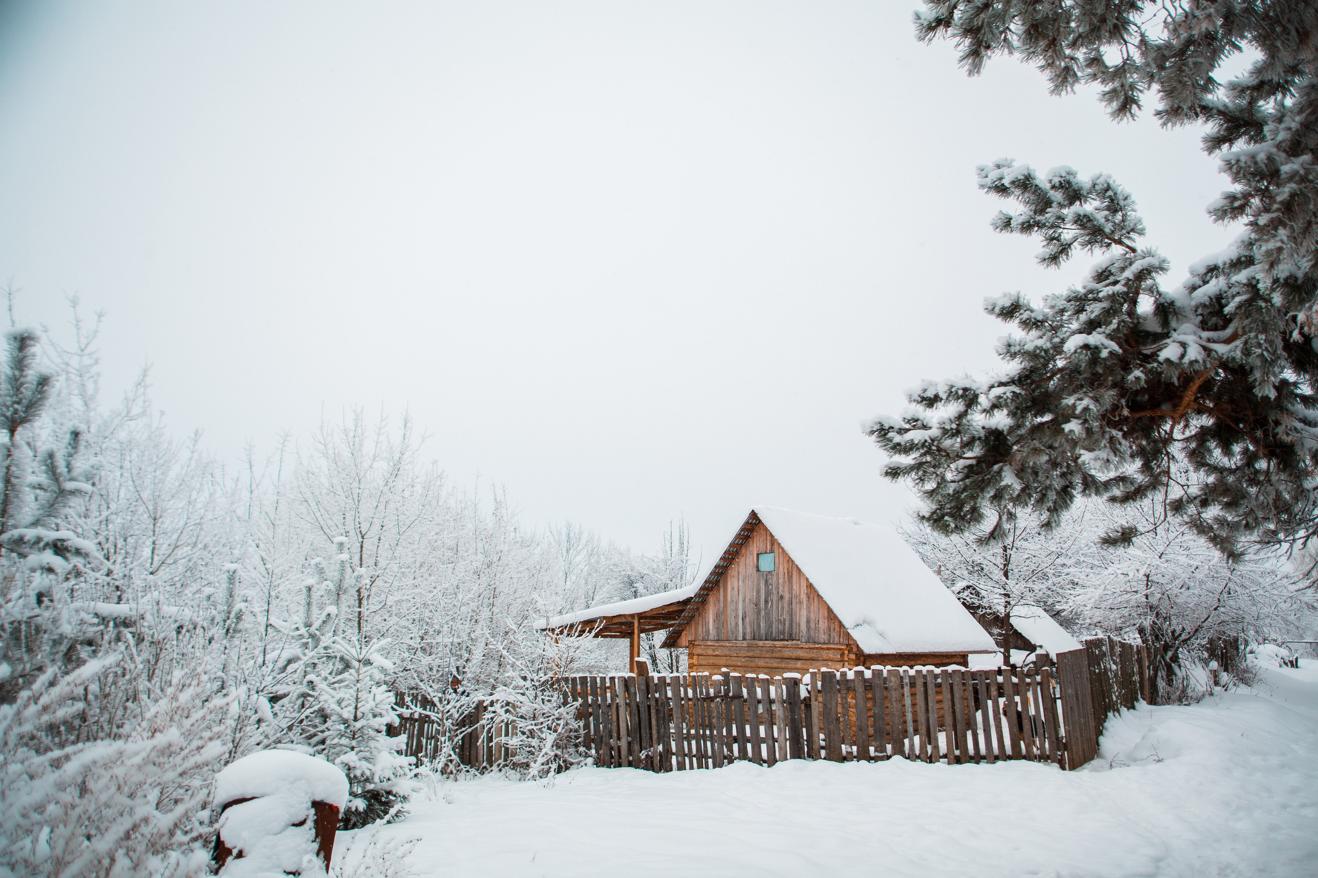 ЦВЕТНЫЕ ФОТОГРАФИИ. Никита Аничкин фото и видео оператор из России