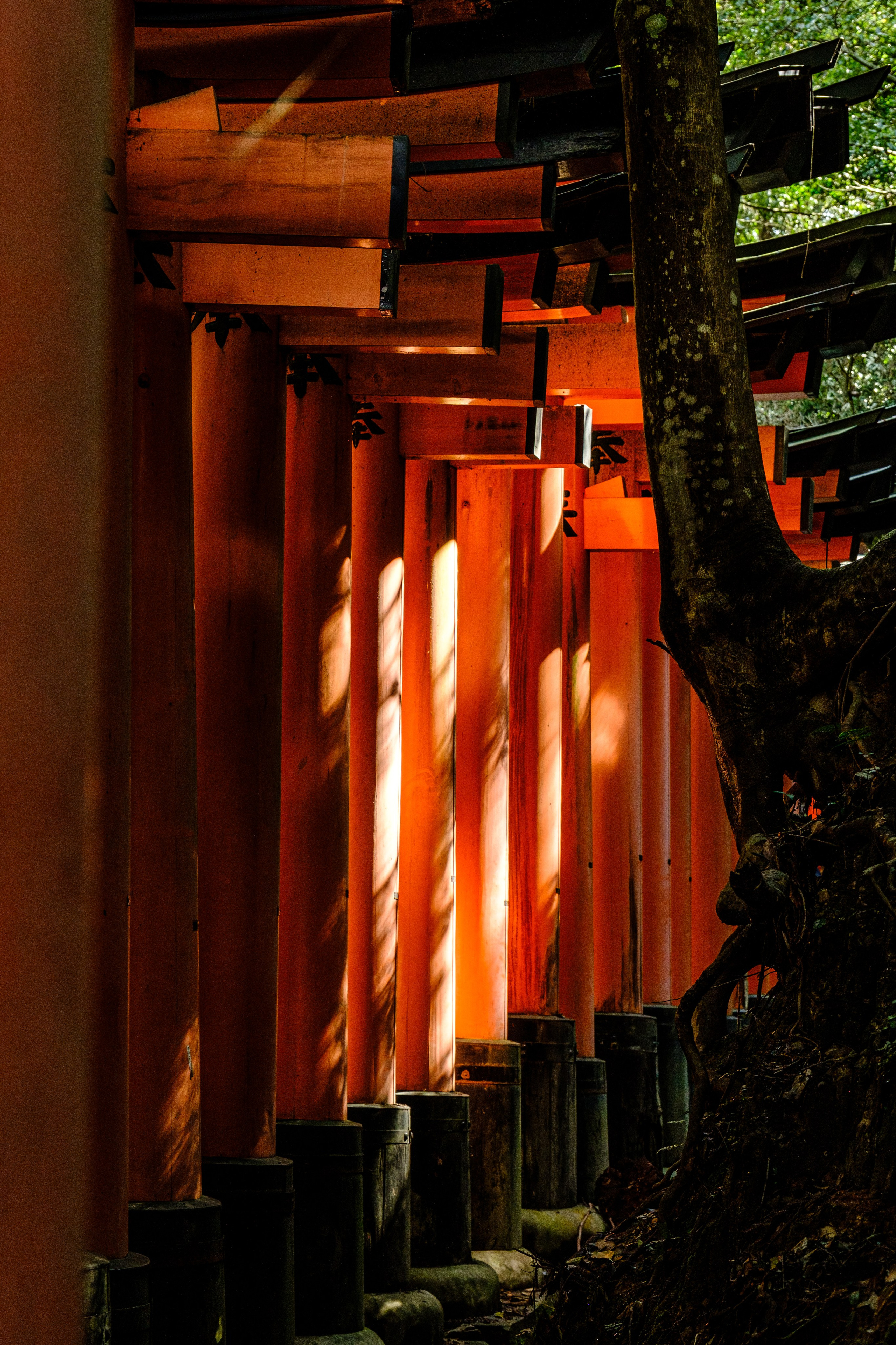 Невероятная Япония: Сезон Цветение Сакуры. Свадебный и Студийный фотограф из Казахстана Артем Орлянский