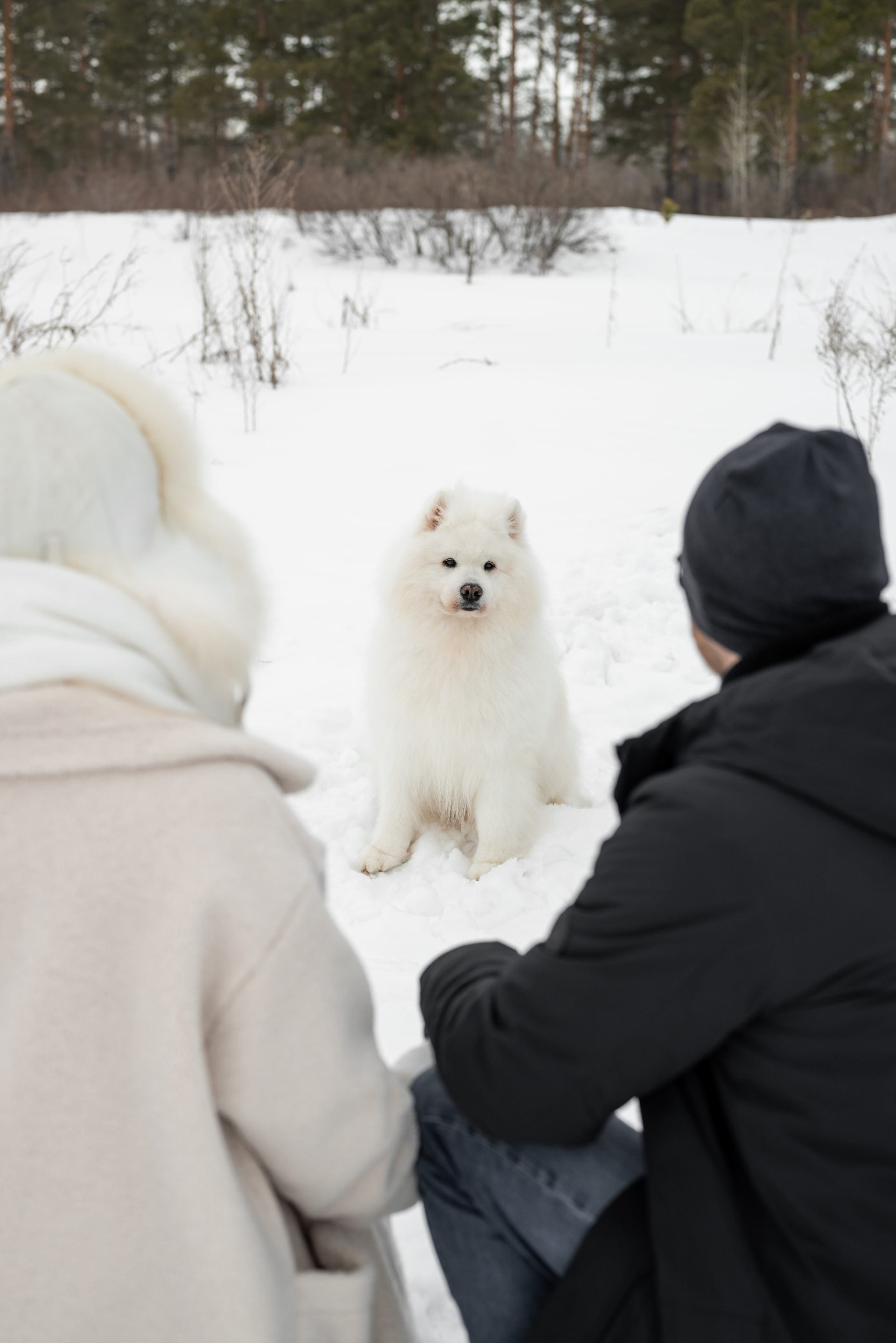 Фотопроект с Платоном и машиной на улице. Фотограф в городе Салават
