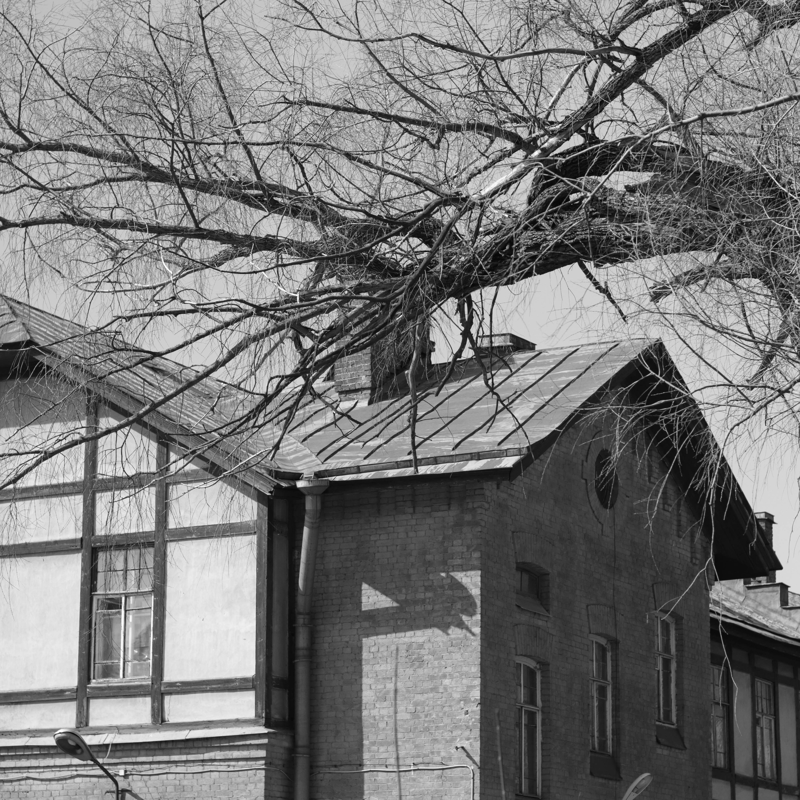 Tsarskoe Selo. Фотограф и исследователь фотографии из Санкт-Петербурга Елизавета Веприцкая