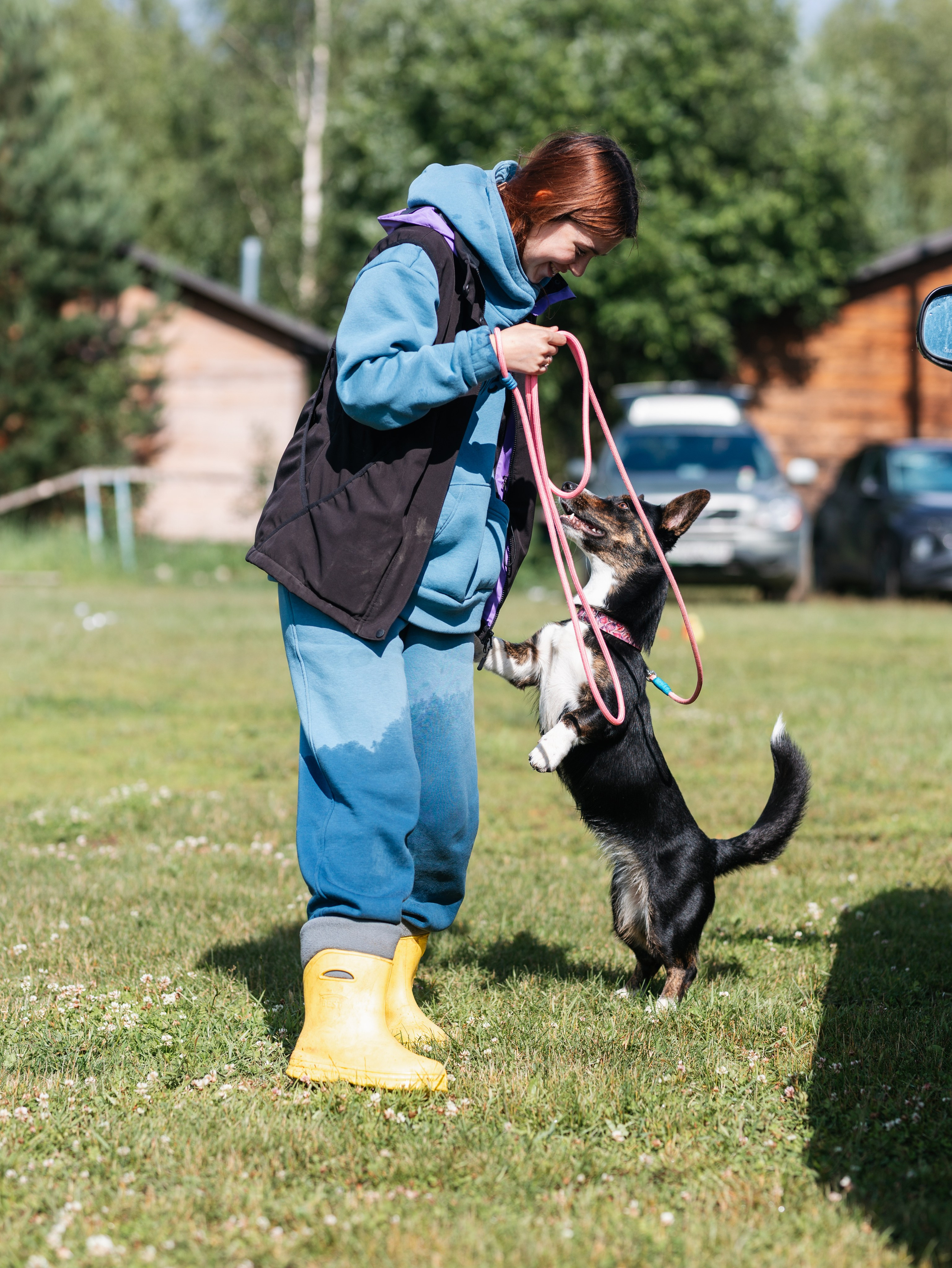 Лагерь ноузворк. Фотограф-анималист в Москве Кириллова Татьяна