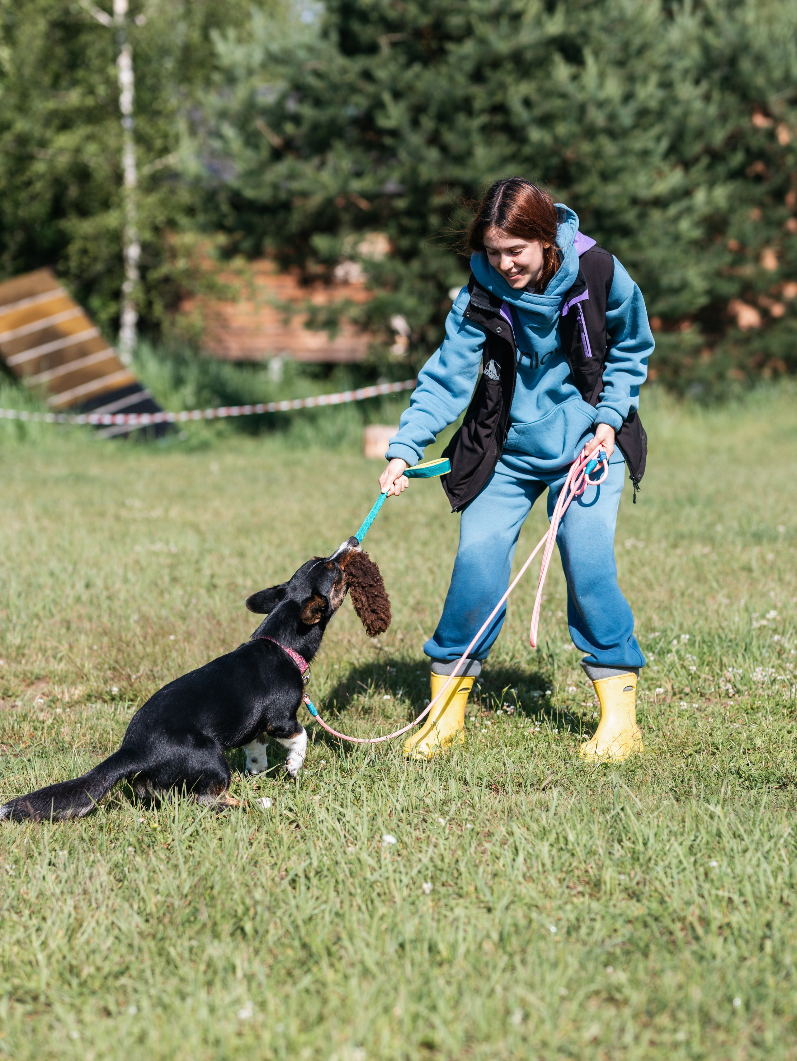 Лагерь ноузворк. Фотограф-анималист в Москве Кириллова Татьяна