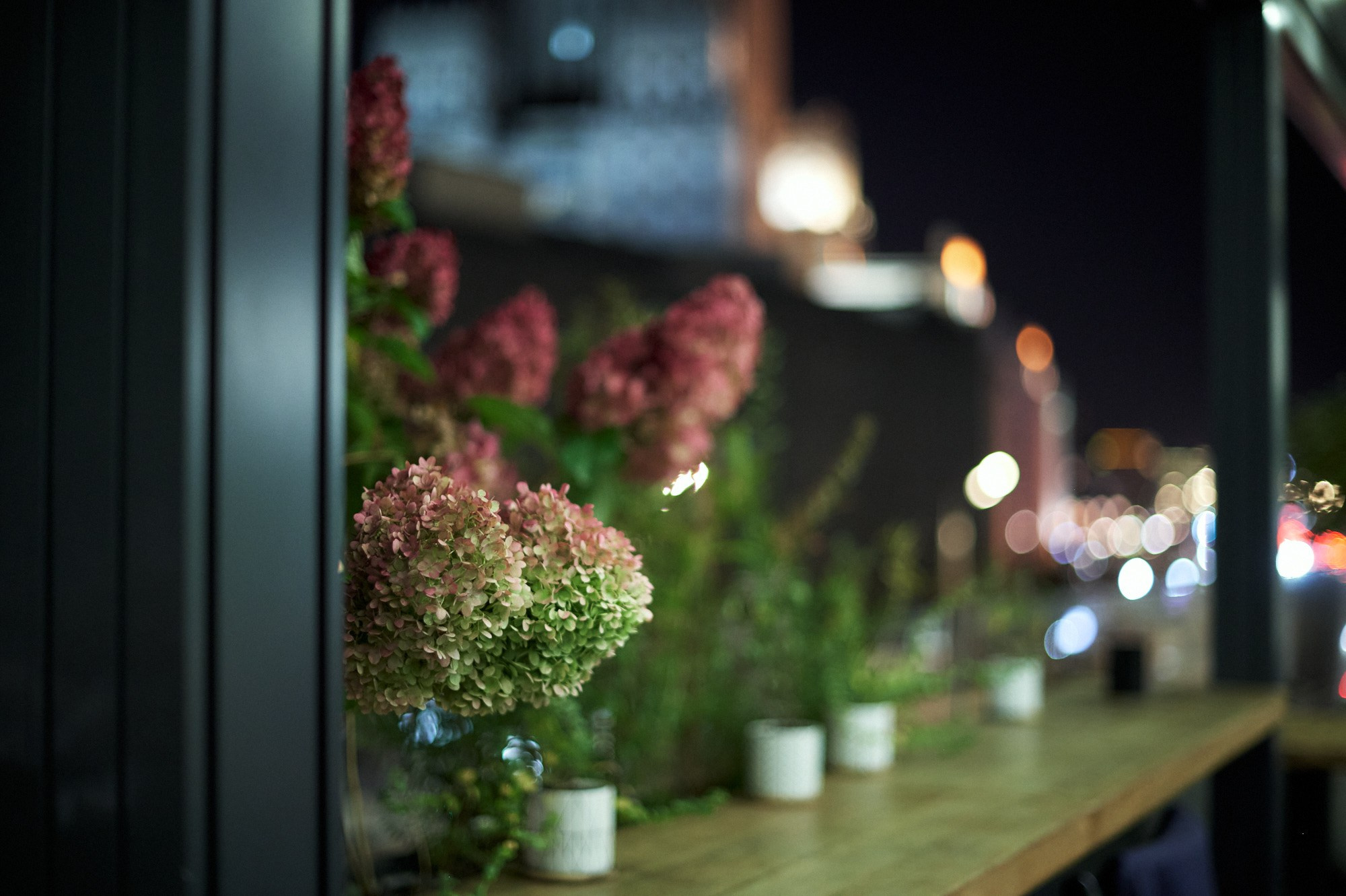 Девелопер-кафе РСТЦ. Фотограф видеограф в Москве