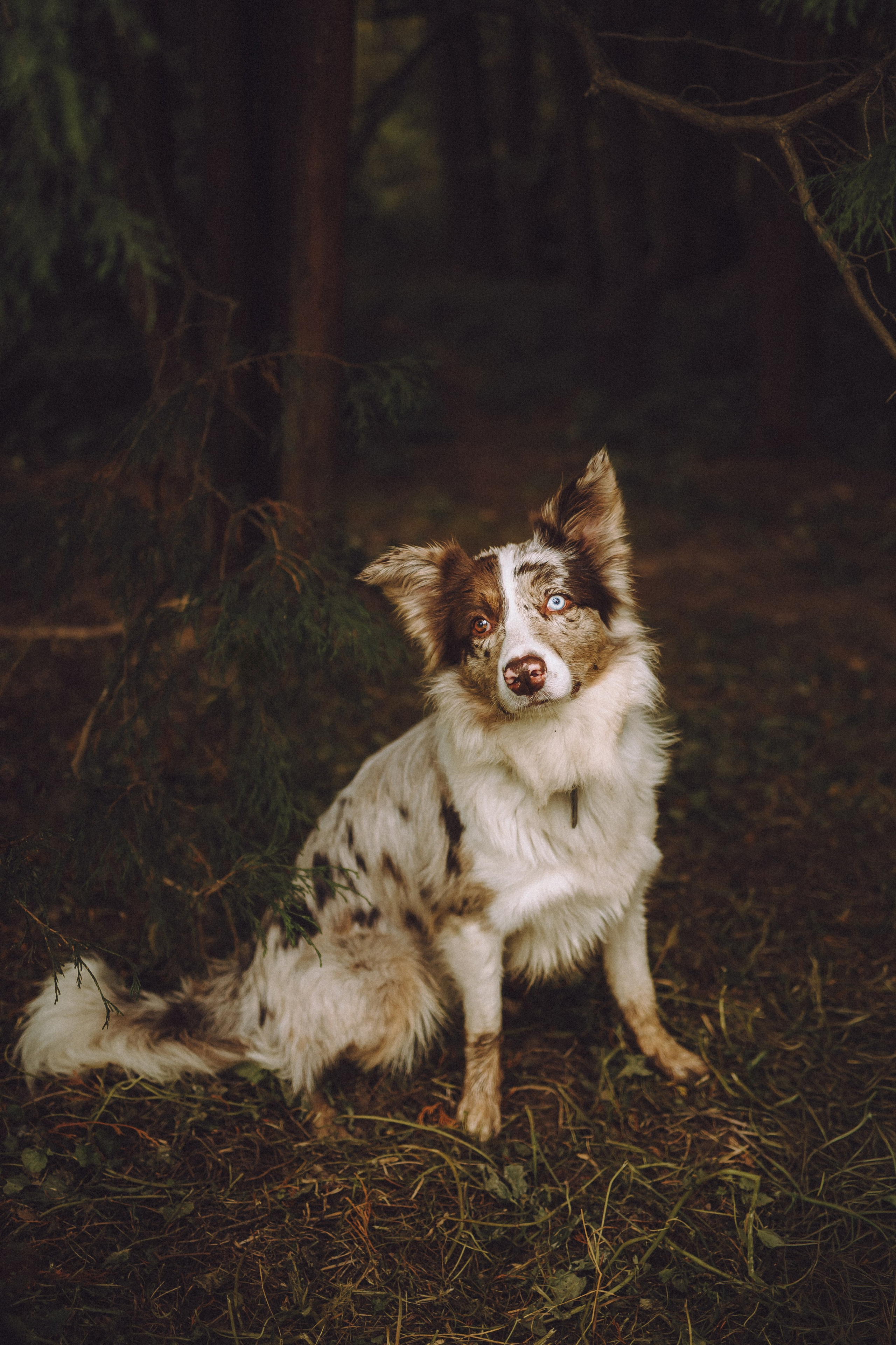 Катя, Кирилл, Кас, Багет и Батон