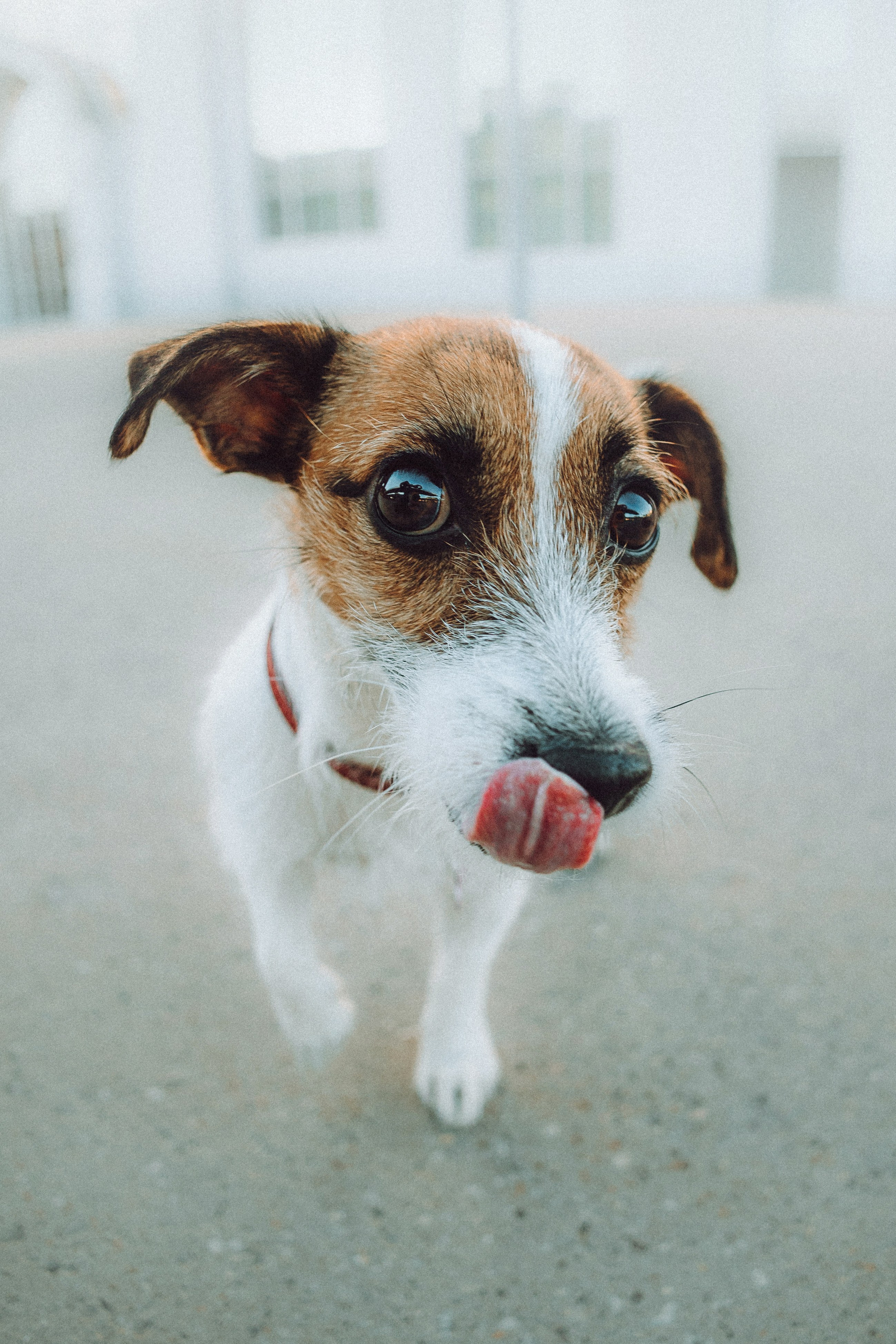 Лера и Рада