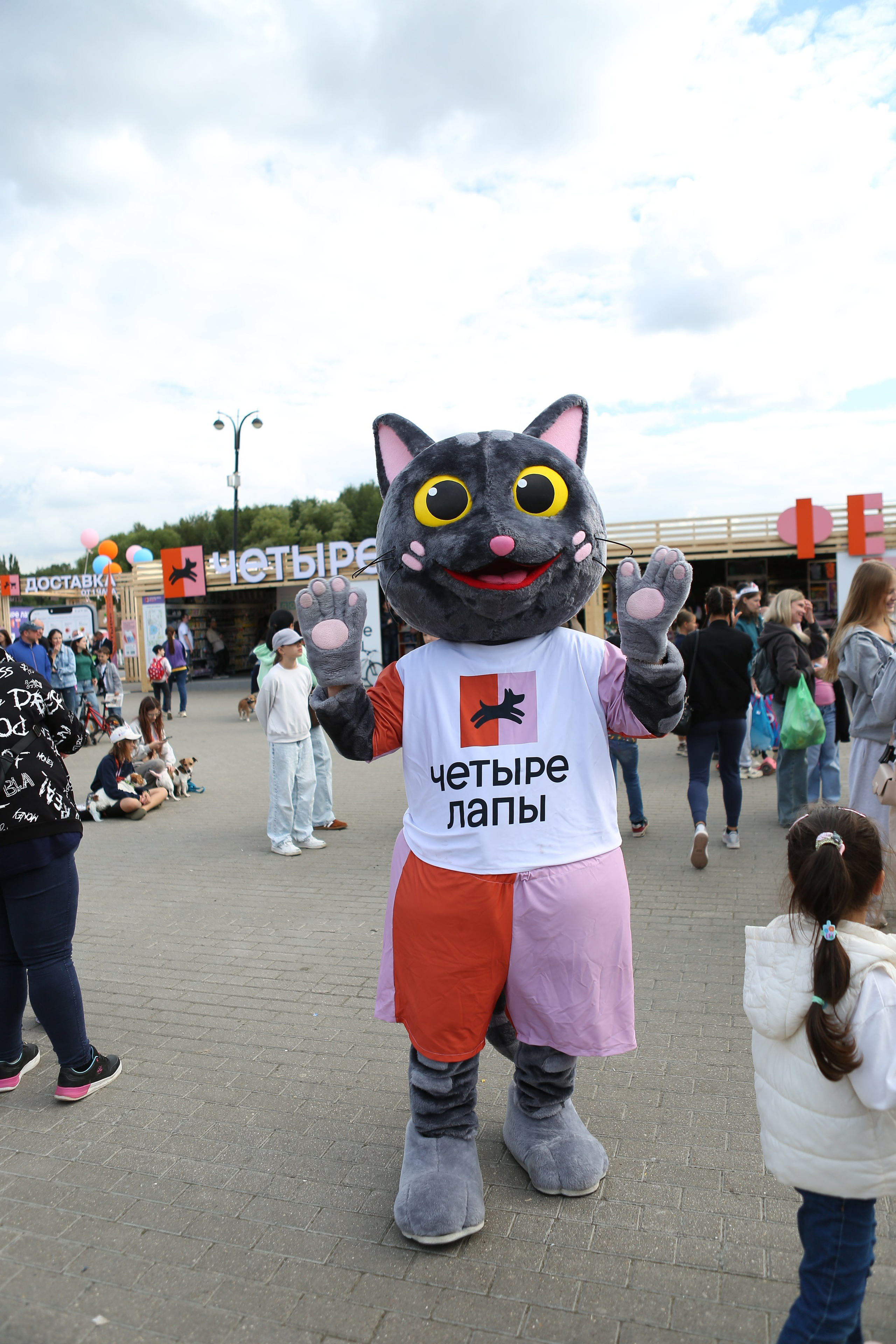 4 лапы фест Измайлово 2025