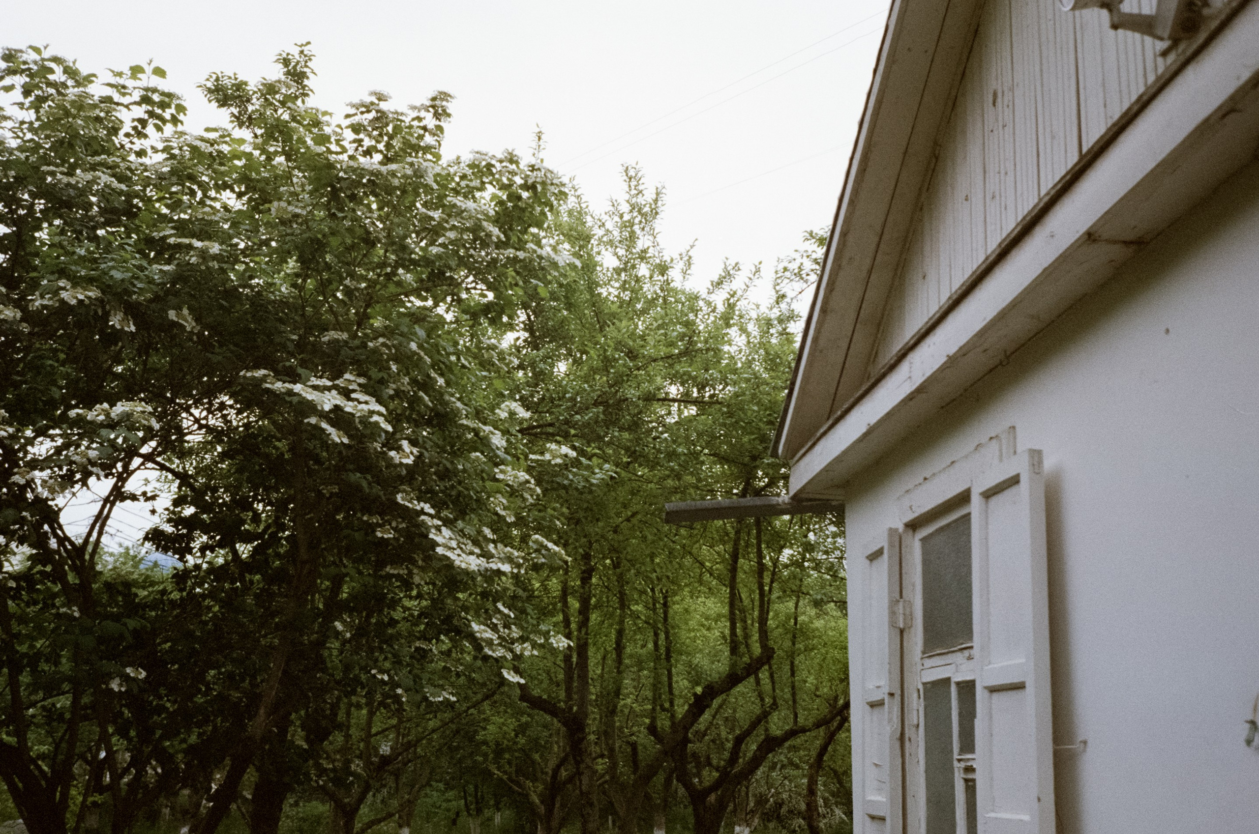 Музей-усадьба художника Николая Ярошенко в дождливый день. Фотограф-документалист Мария Осокина