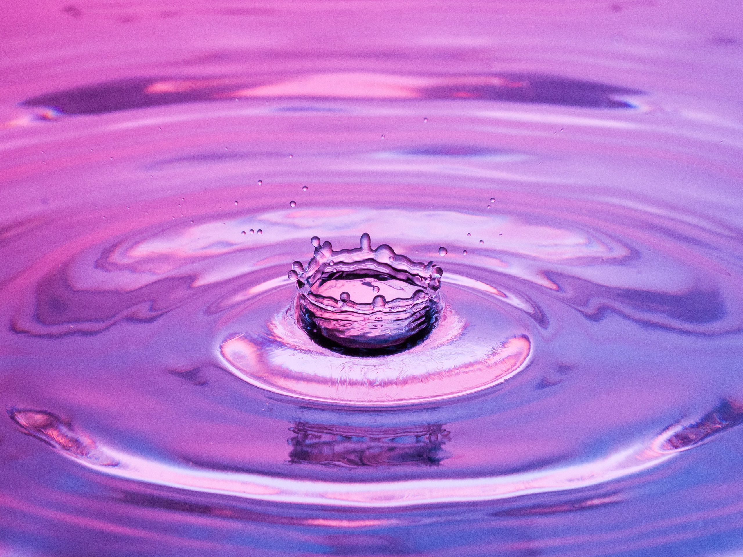 Капли. Фотограф Мария Кольцова