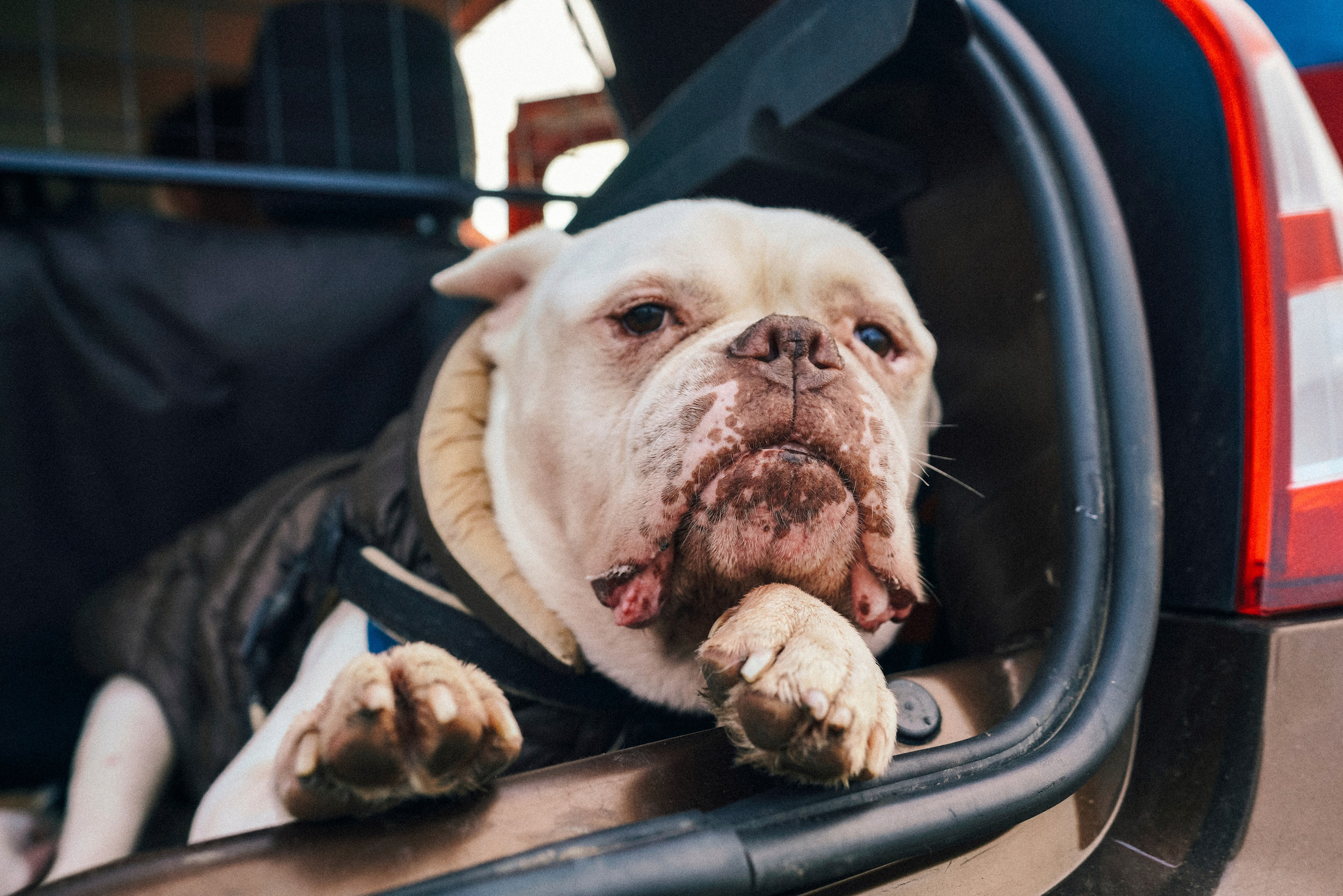 «Наша маленькая безумная семья». Фотограф Казань
