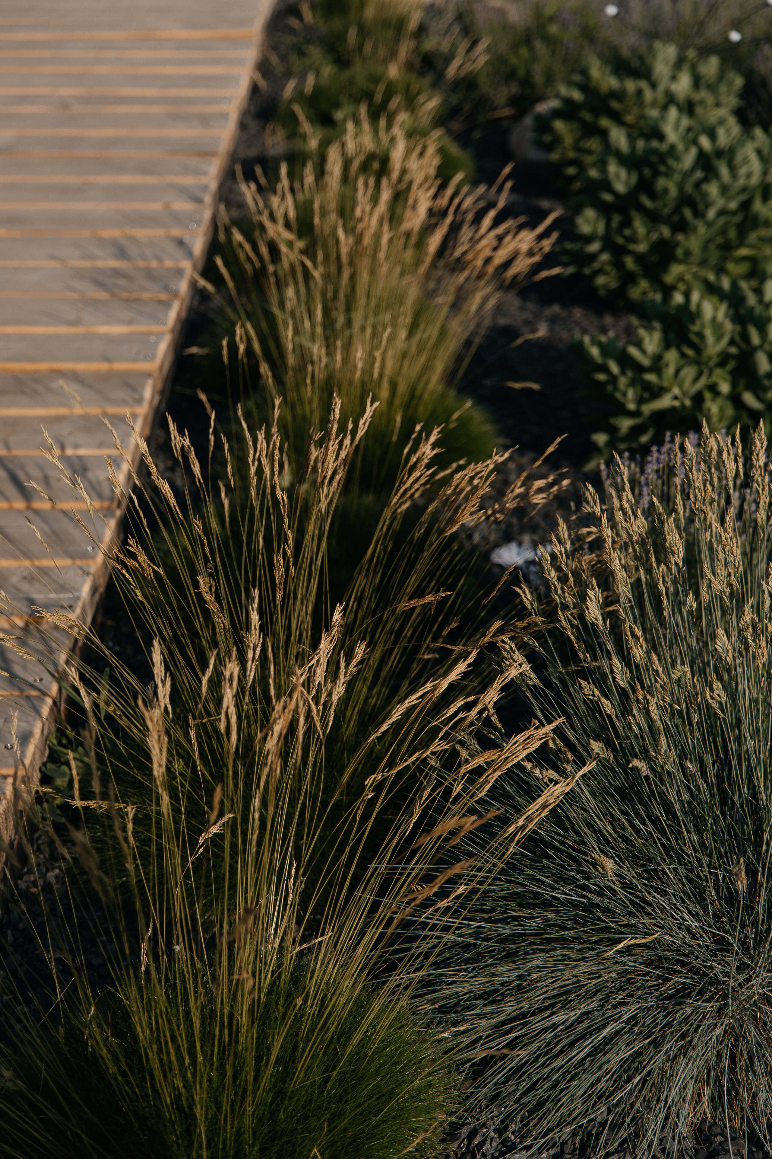 D&X. Фотограф Таганрог Хребет София