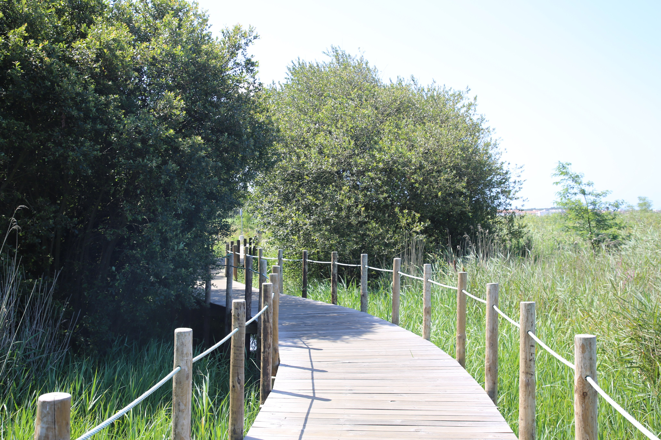 Esmoriz, Portugal. Andrey Filippov Photographer