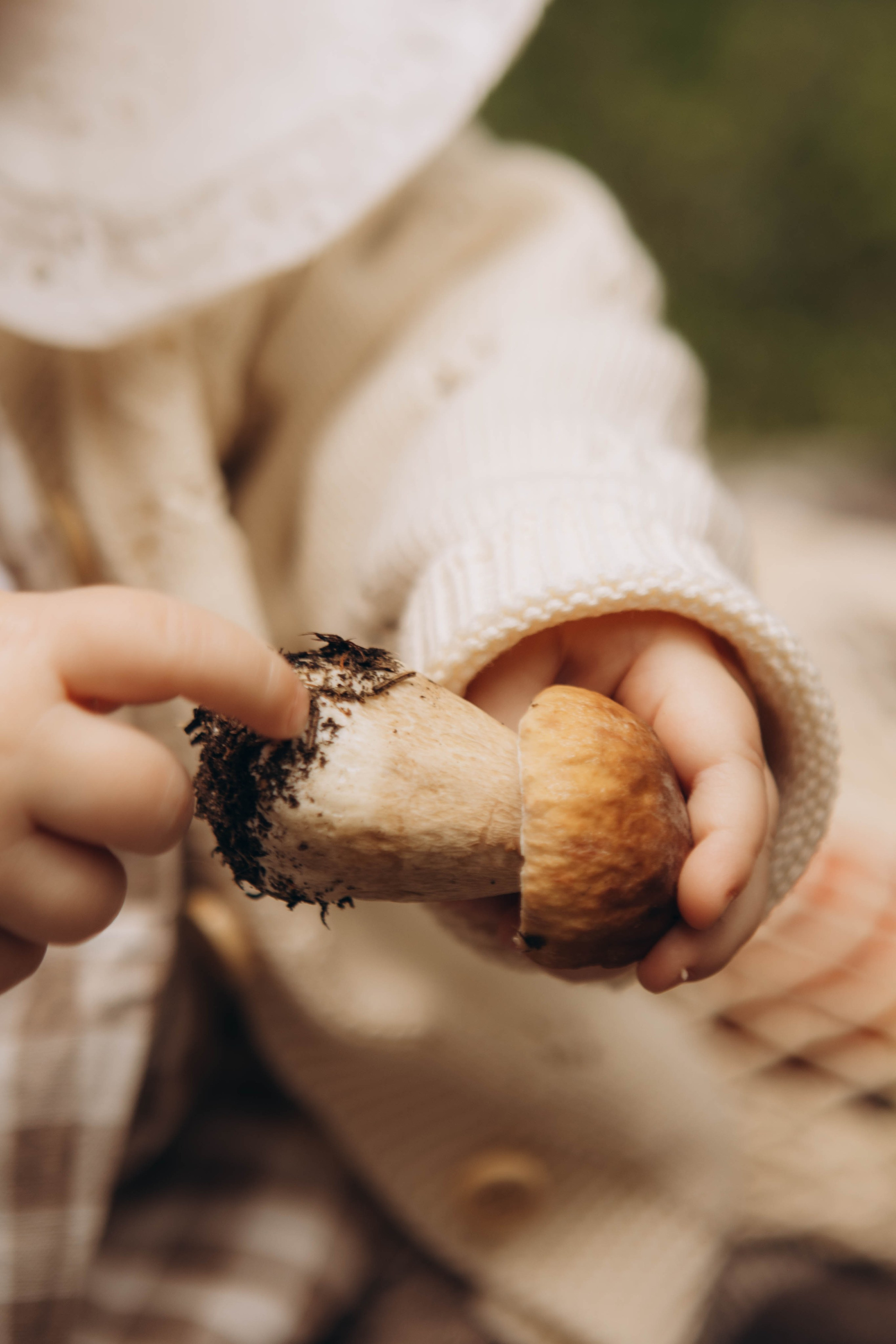 Лесная история. Наталья Косьянова. Ваш фотограф. Москва
