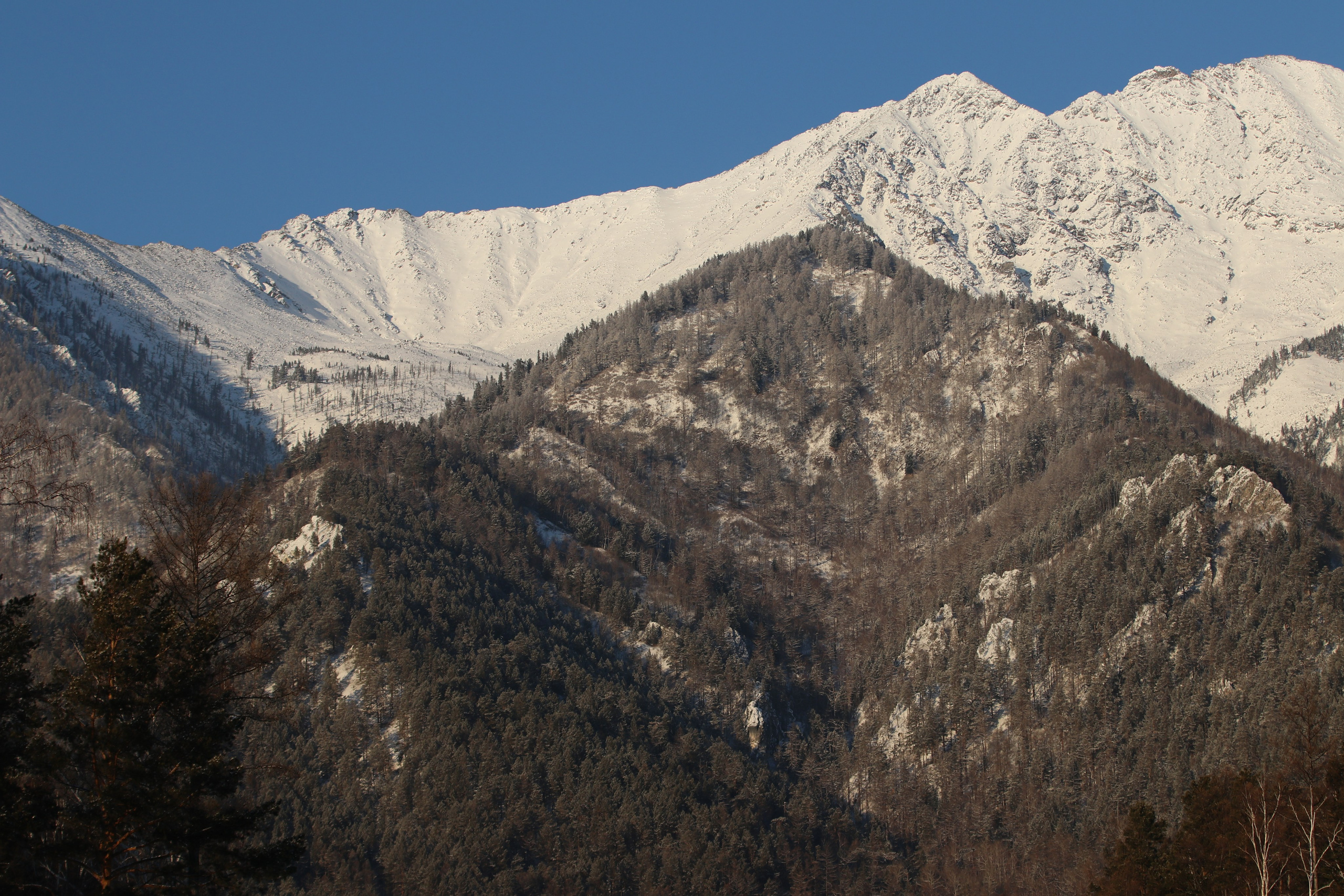 Аршан. Январь 2024. Путешественник-фотограф из Санкт-Петербурга Татьяна Свистулина