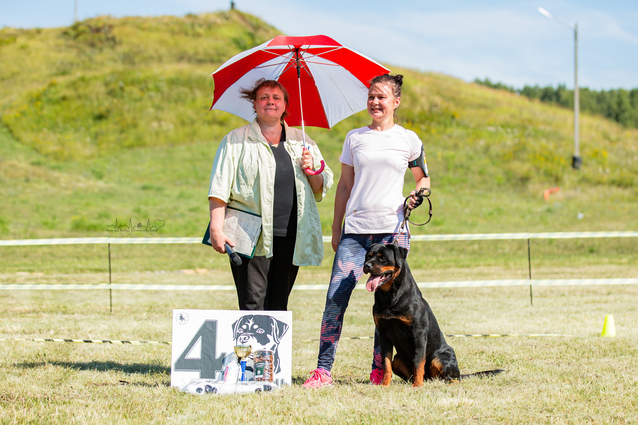 Рязань моно ротвейлеров 13.08.2022. Фотограф-анималист Юлия Германика