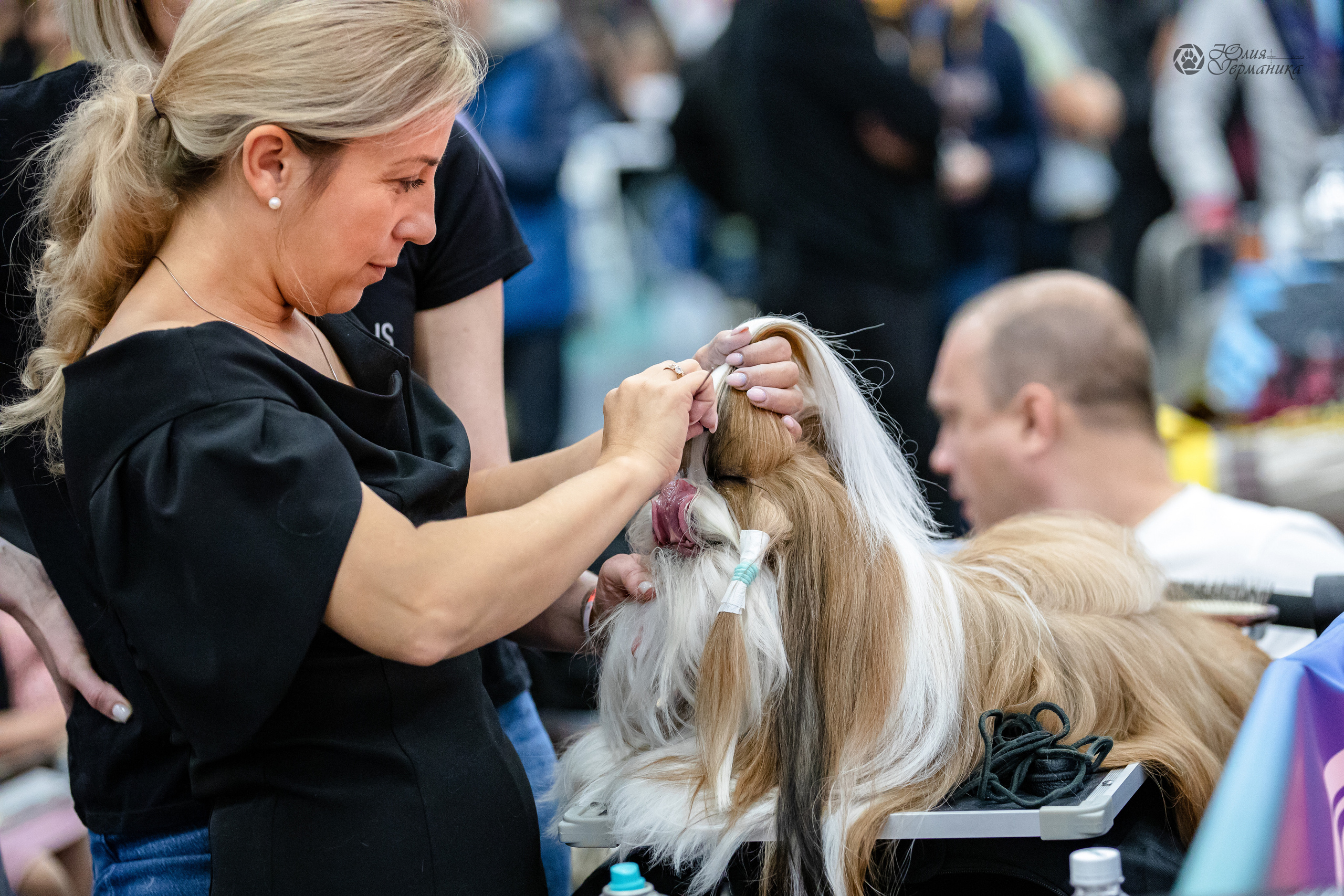 Нижний Новгород 15-16.10.2022. Фотограф-анималист Юлия Германика