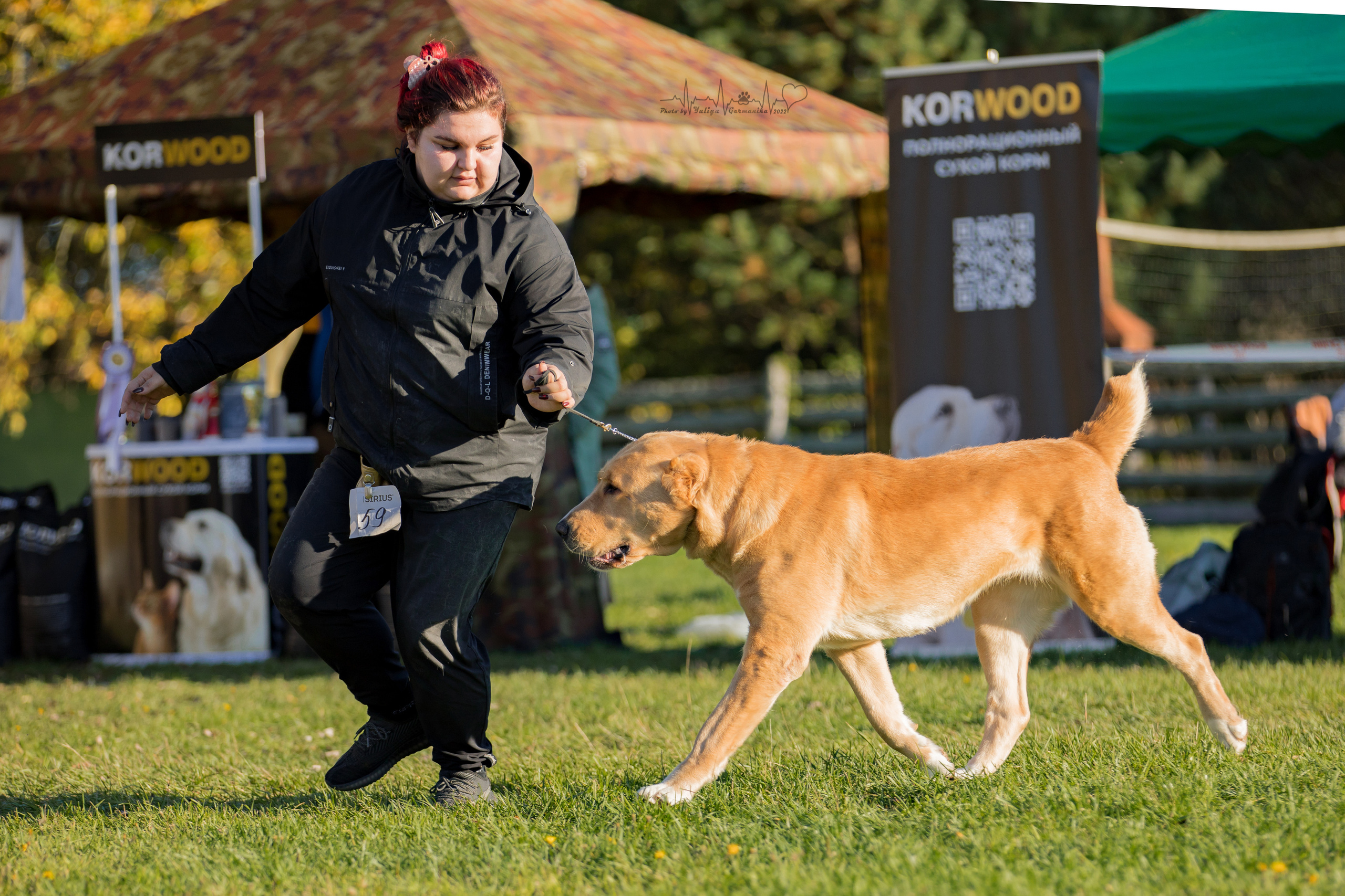 Александрова Слобода моно сао 2.10.2022. Фотограф-анималист Юлия Германика